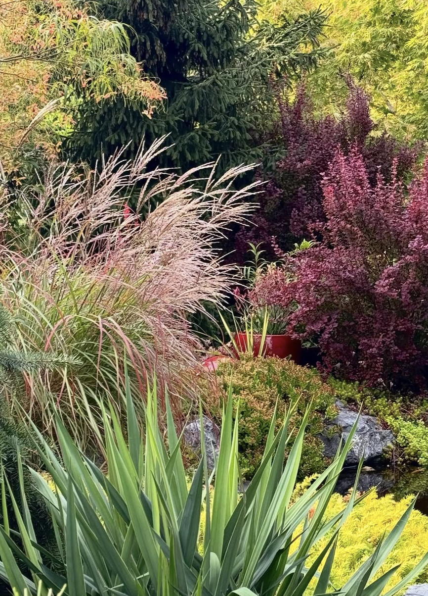 Camille Paulsen 4.png