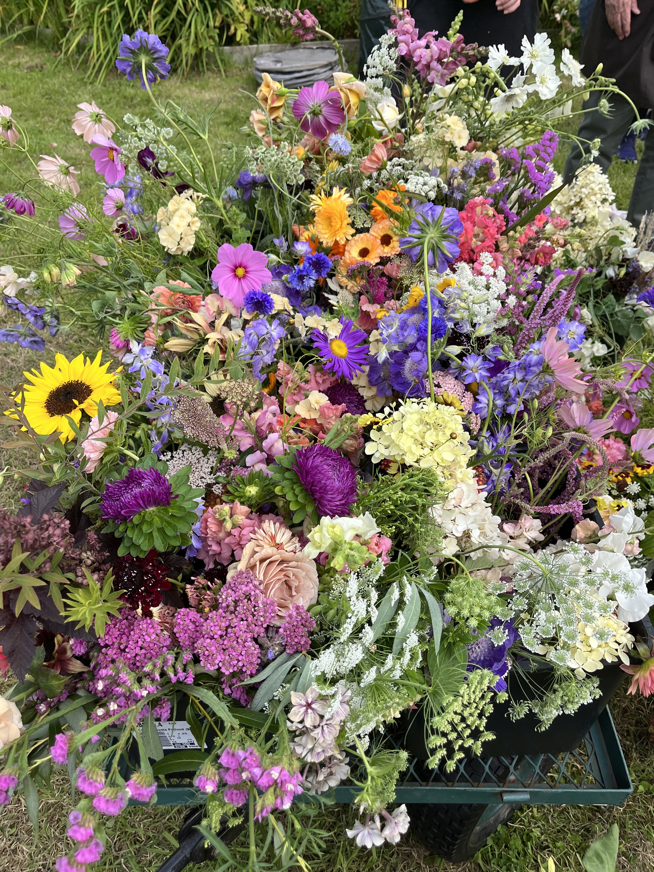 IMG_0368.jpeg