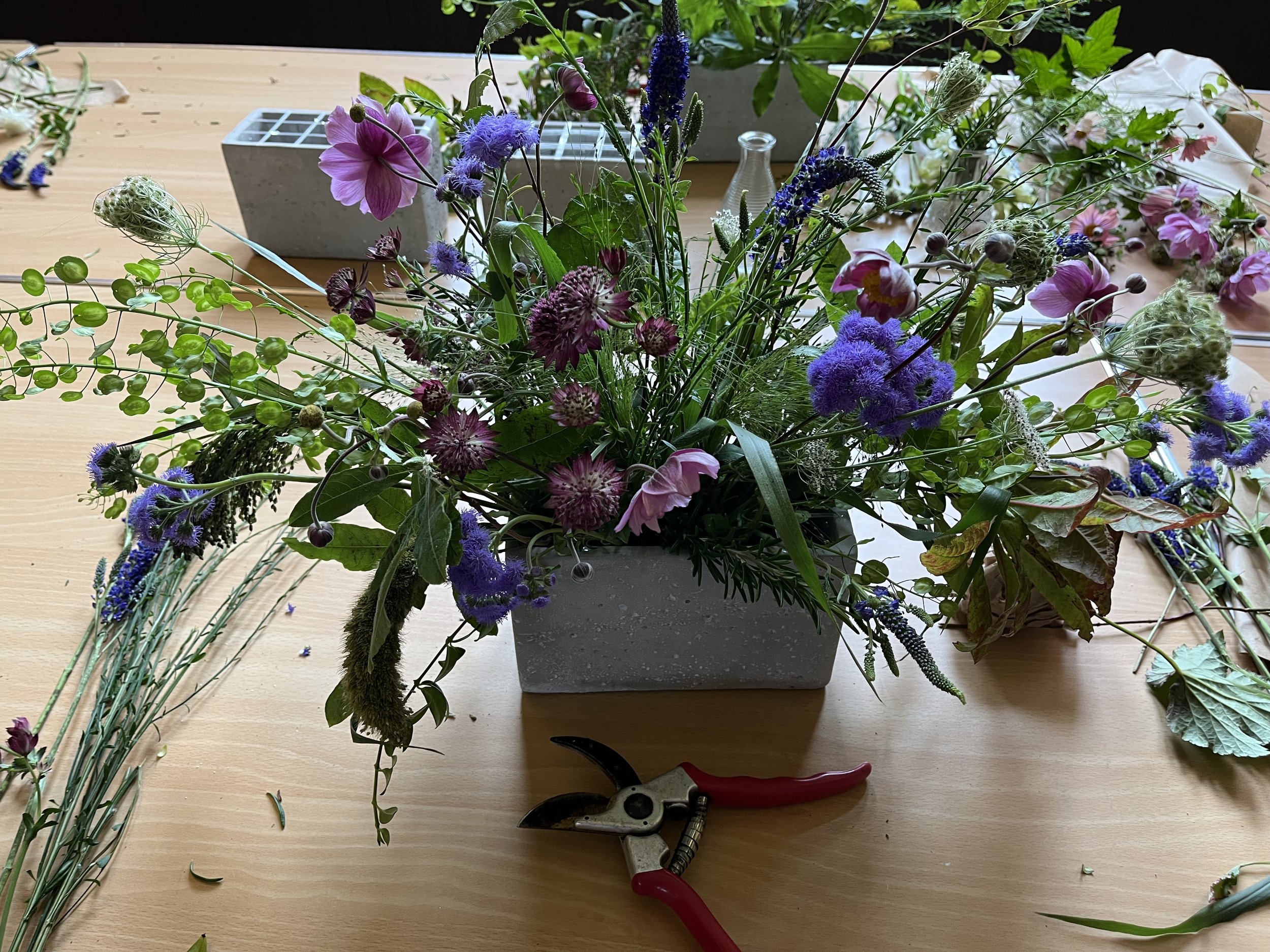 IMG_0830.jpeg