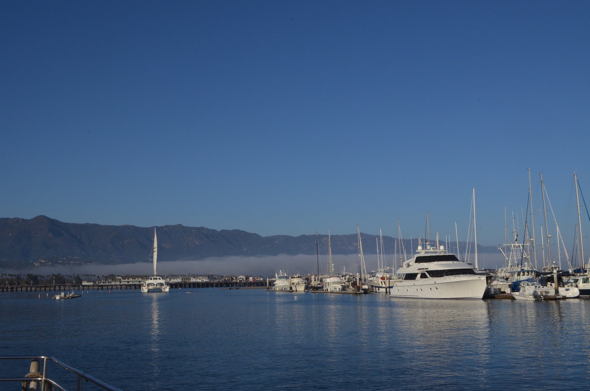 DSC_0410.jpg