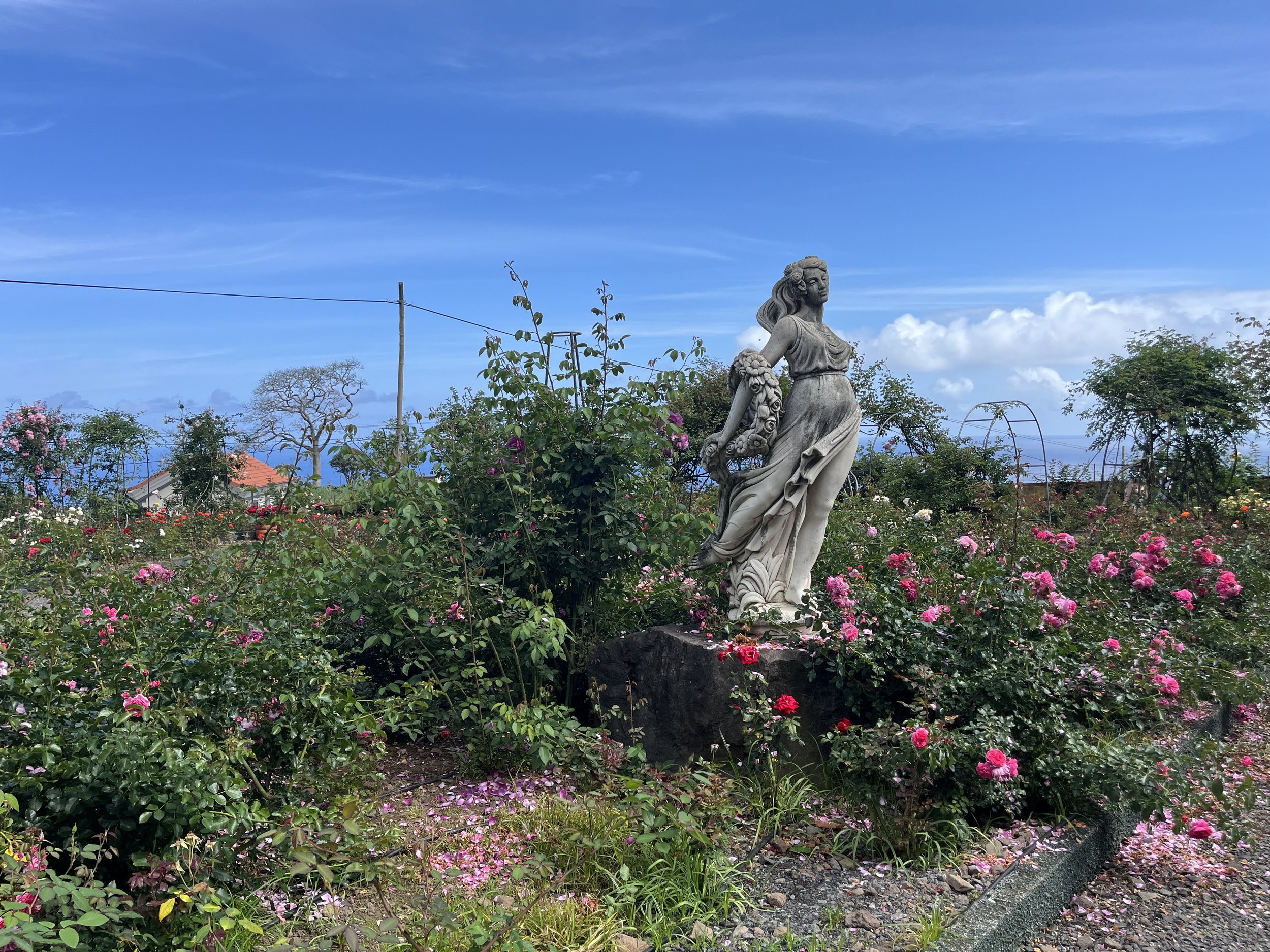IMG_4038.jpeg