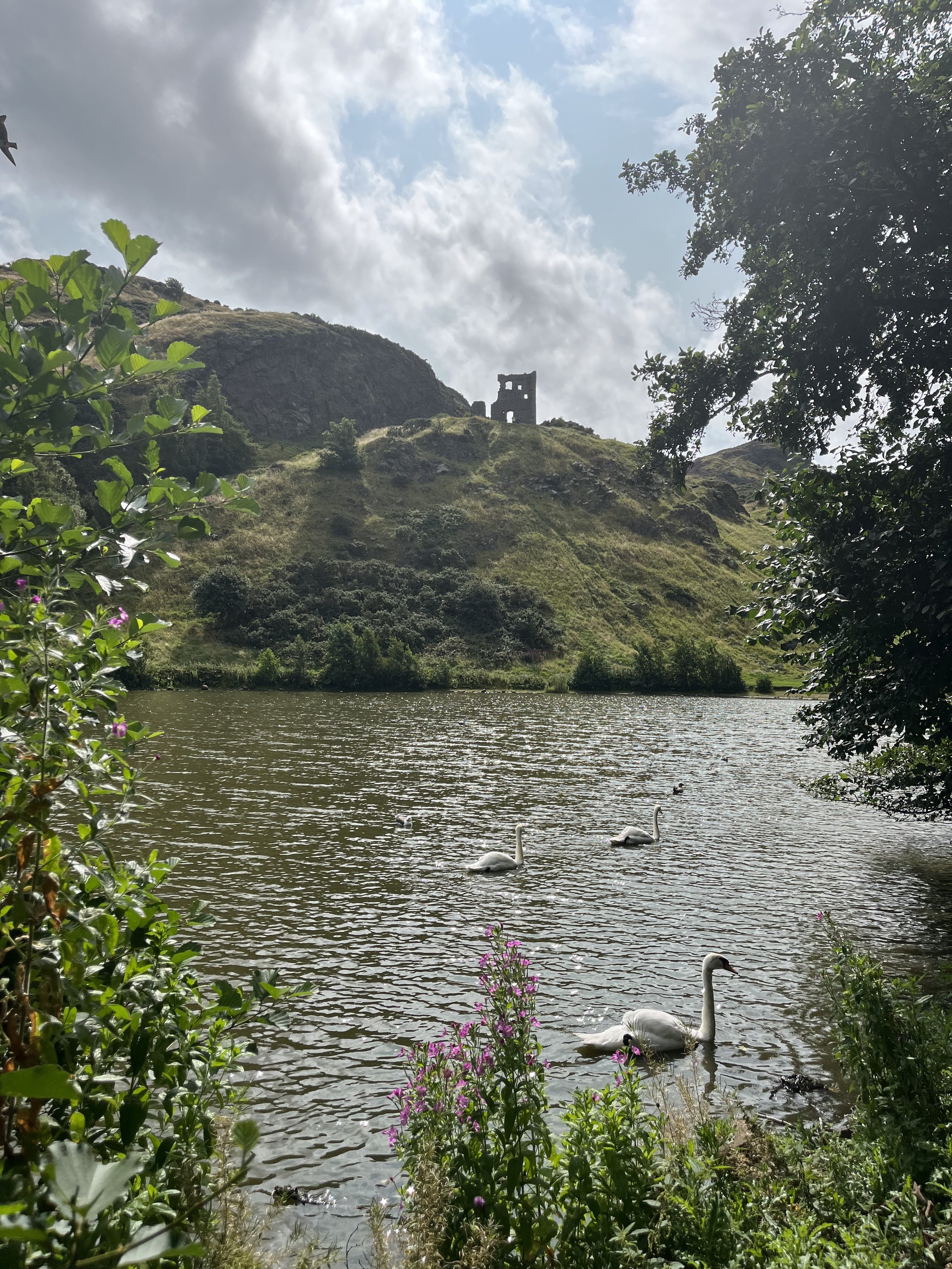 IMG_0494.jpeg
