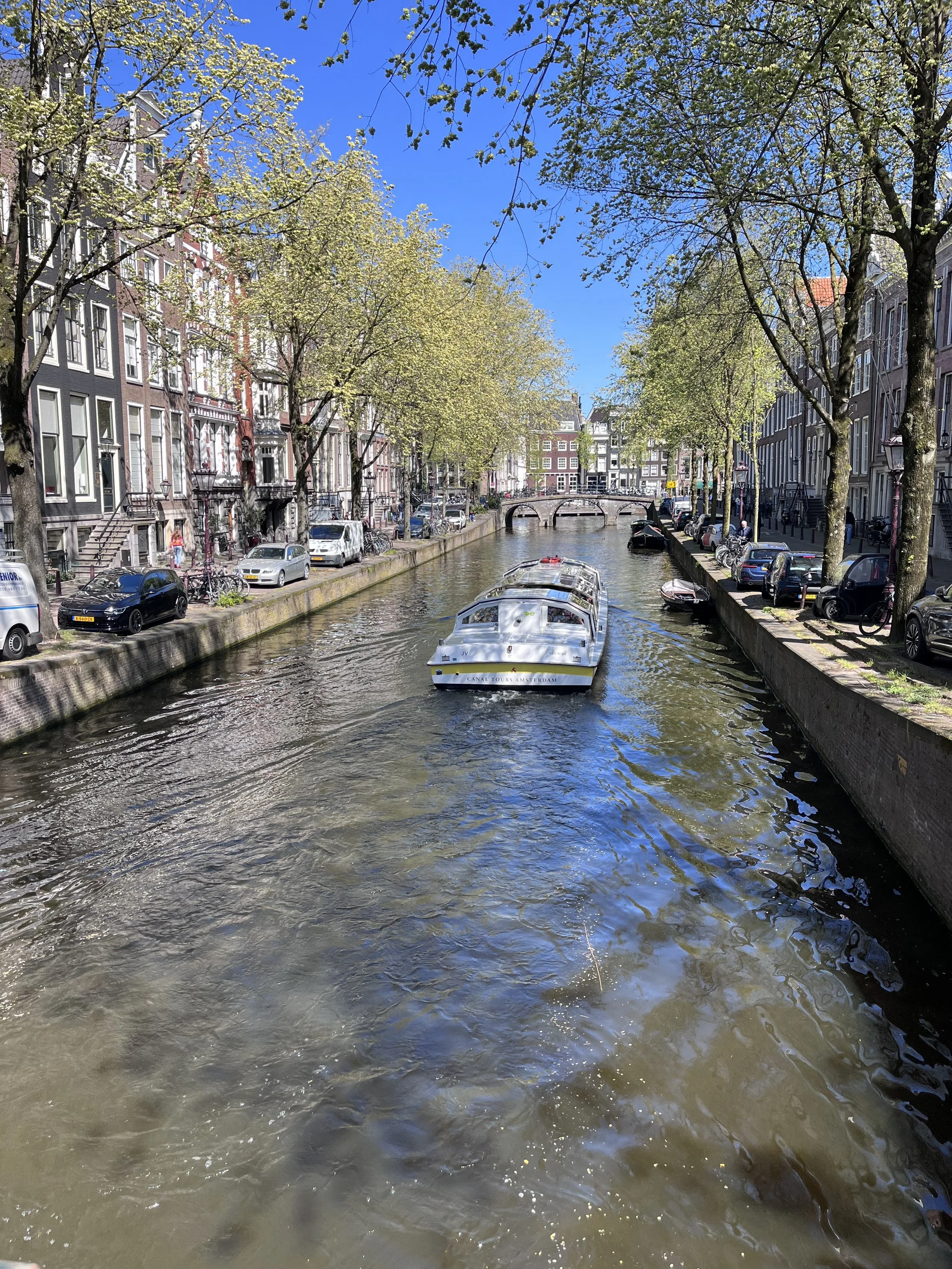 IMG_1023.jpeg