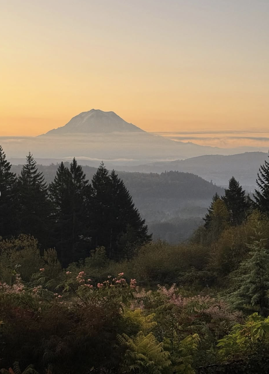 Camille Paulsen 2.png