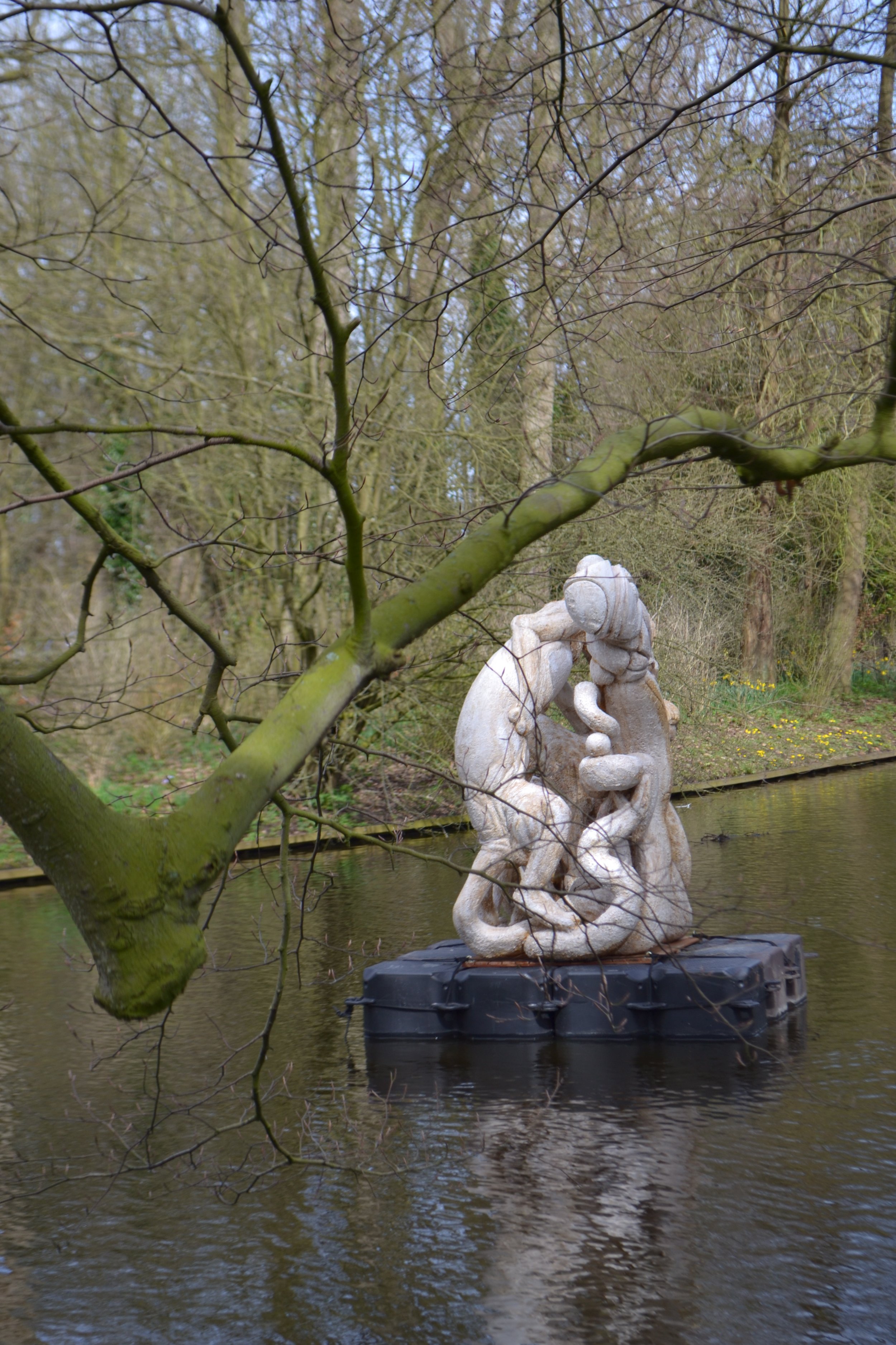 DSC_0103.jpeg