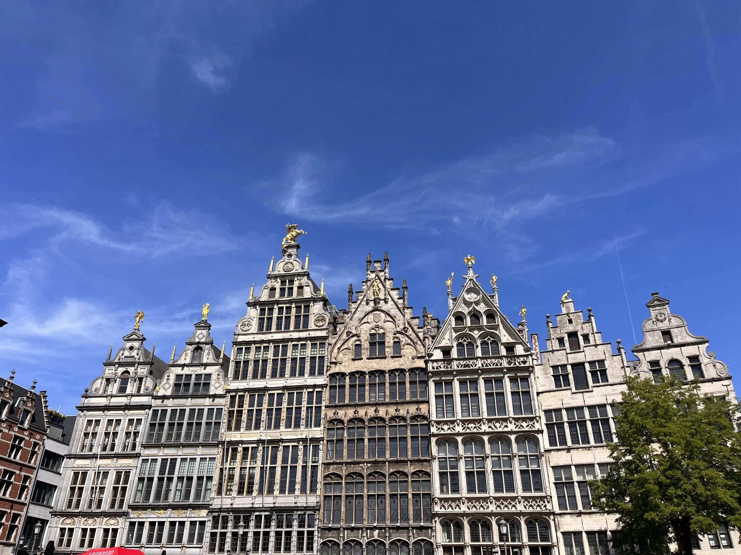 IMG_1537.jpeg