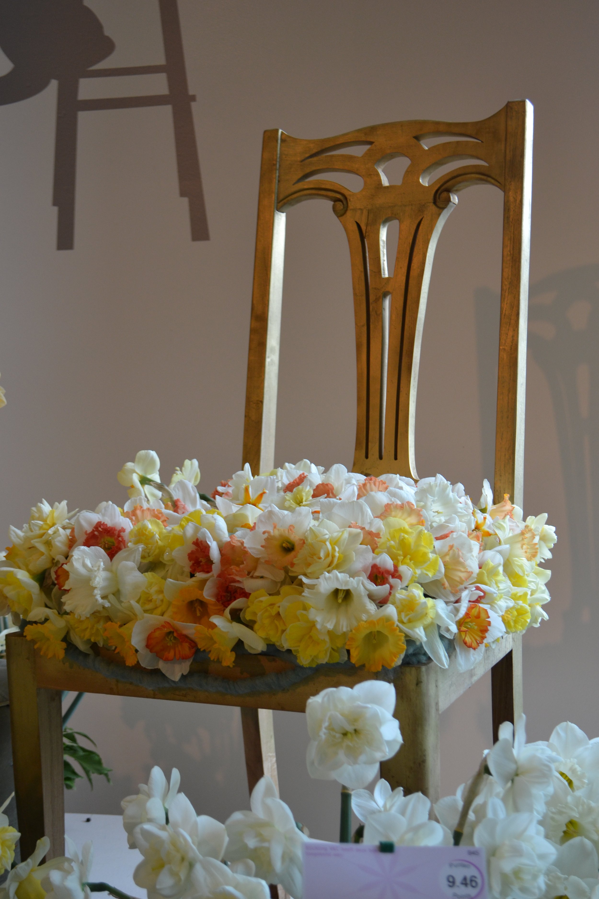 Keukenhof Daffodil Show1.jpg