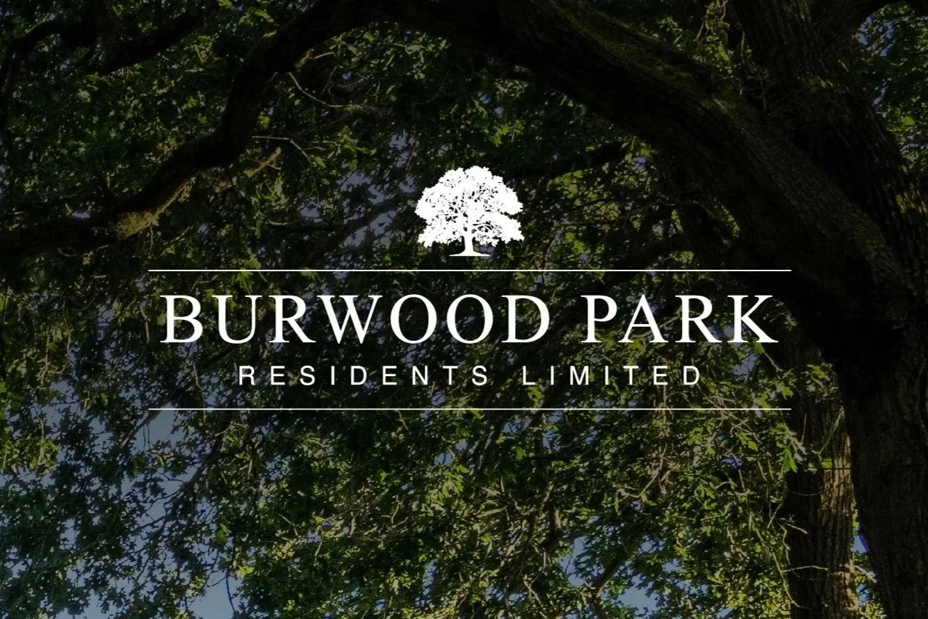 BPRL – Full Brand Identity