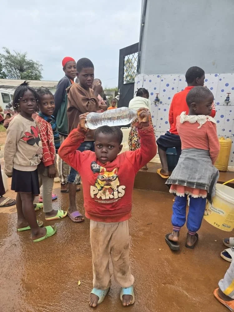 Four Projects Launched!