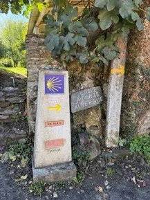 Picture7.jpg