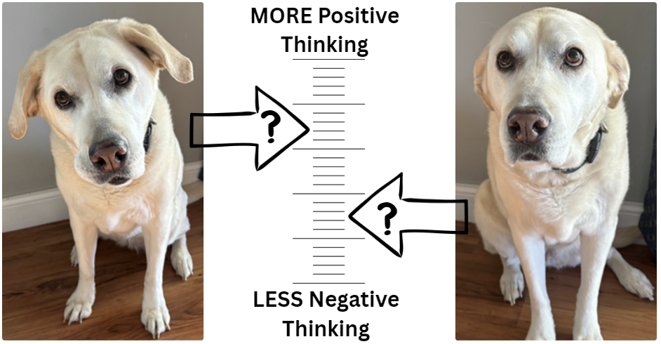 More Positive or Less Negative: Which One Actually Shifts the Needle?