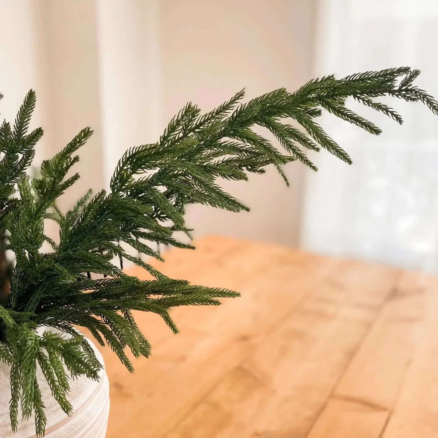 Norfolk Pine Faux Branches