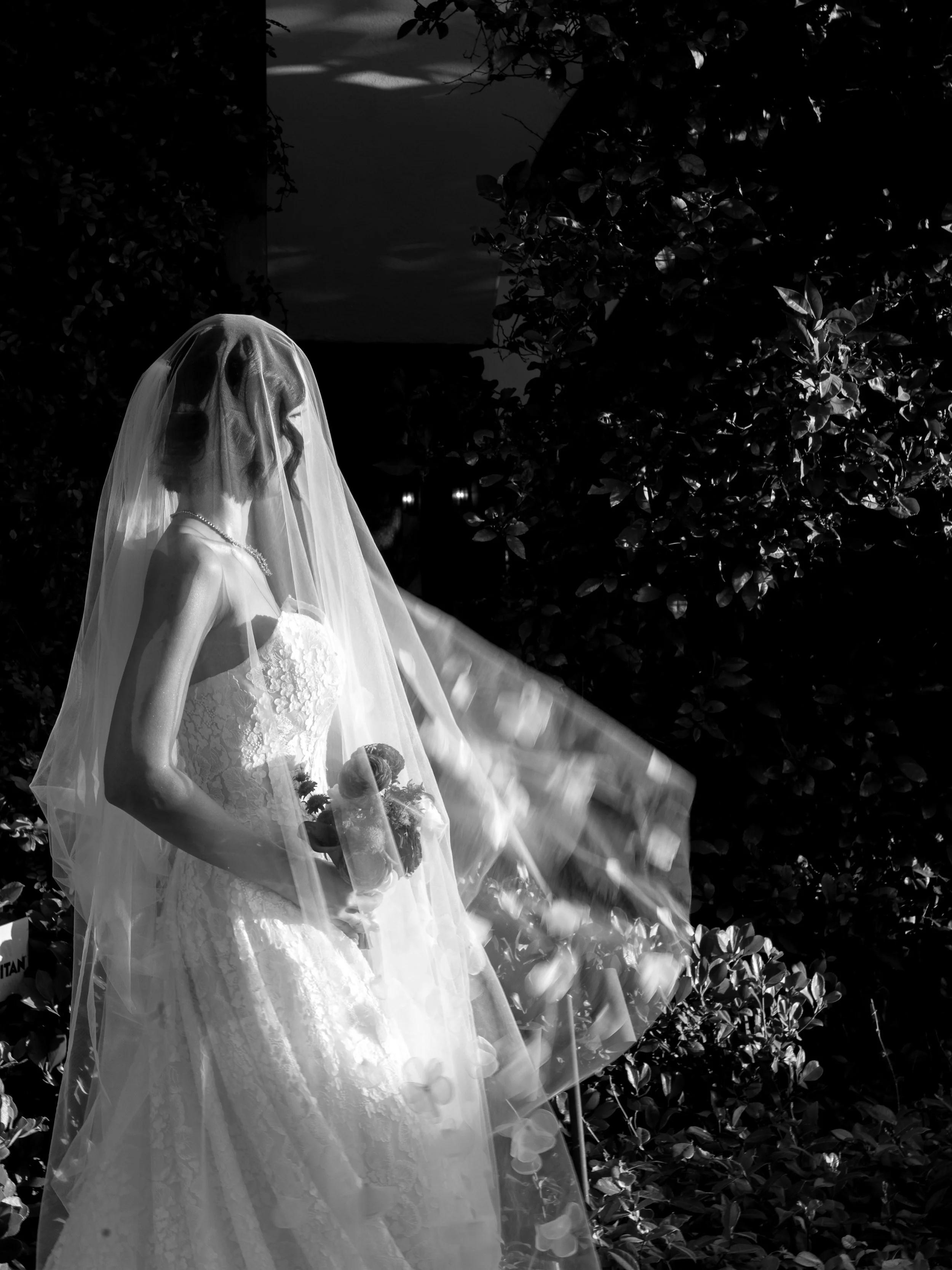 bridal portraits that make you feel 🪽✨

#wedding #weddingveil #arizonawedding