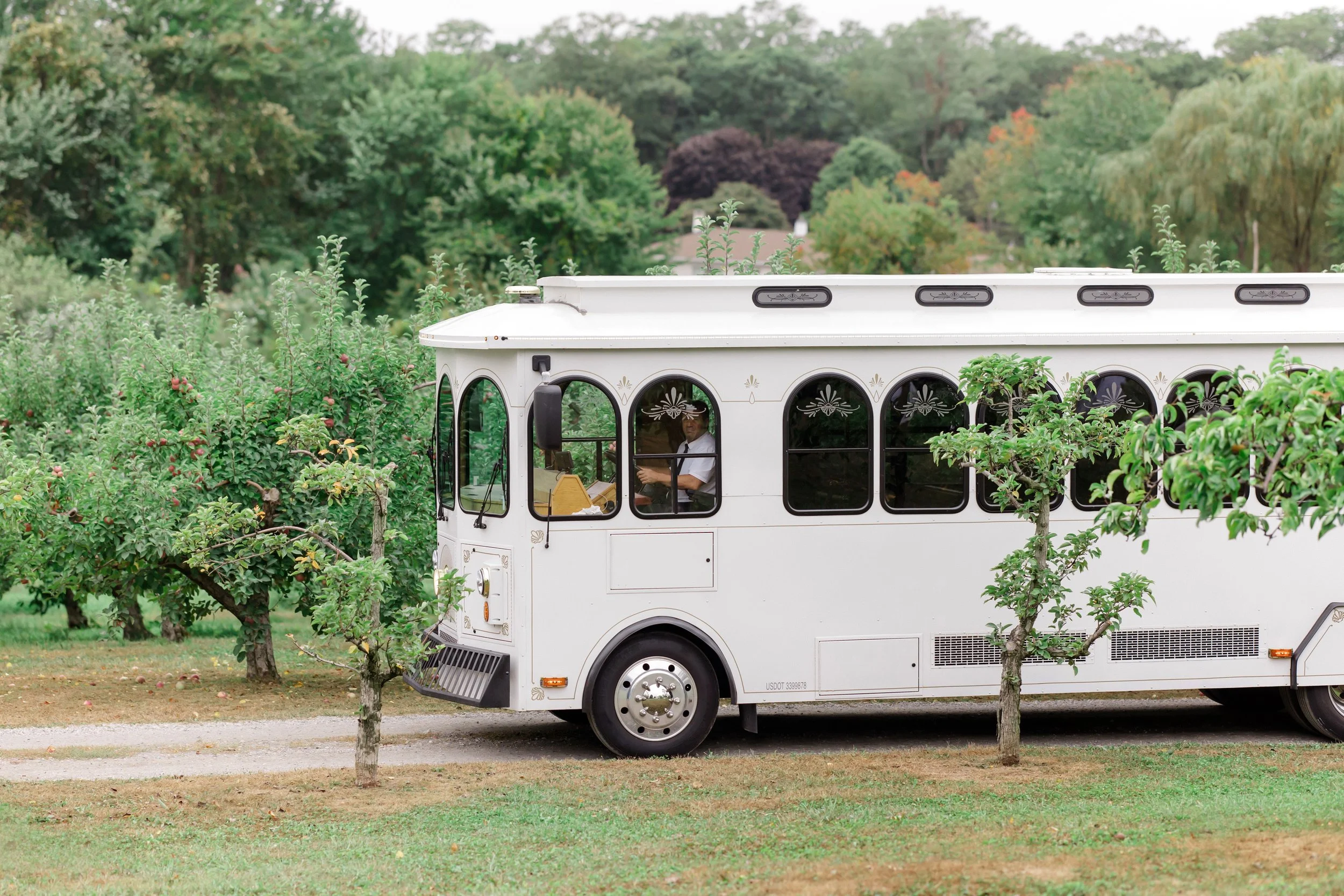 A white tour bus parked next to small trees and an orchard with fruit trees in a lush park setting.