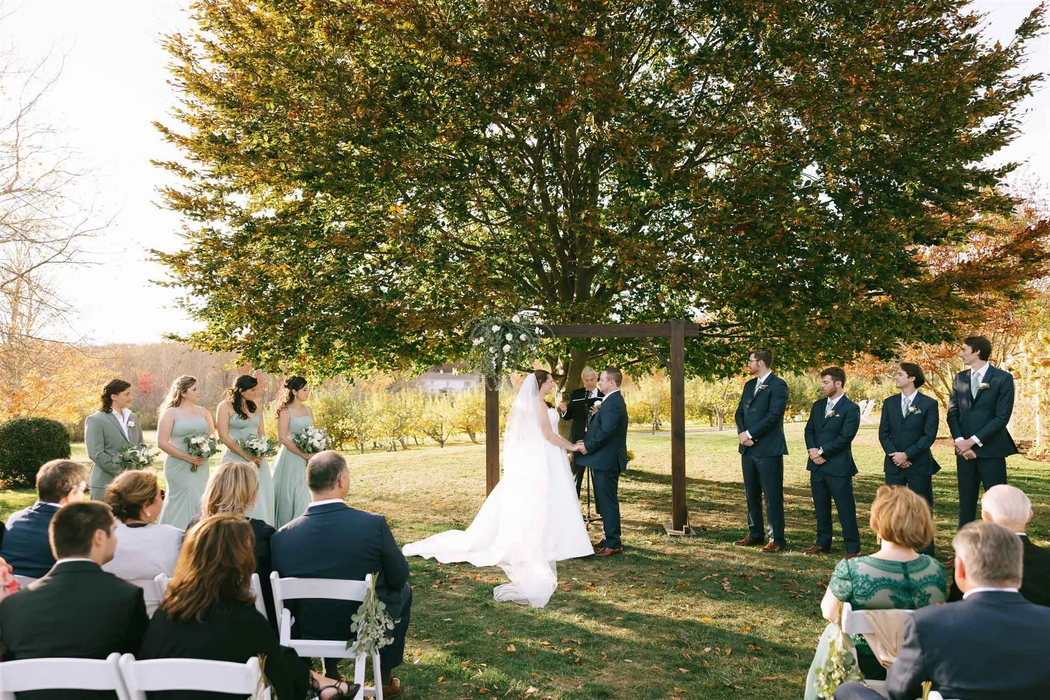 Outdoor wedding ceremony under a large tree with bride and groom holding hands, surrounded by bridesmaids and groomsmen, seated guests, and a wooden arch decorated with flowers.