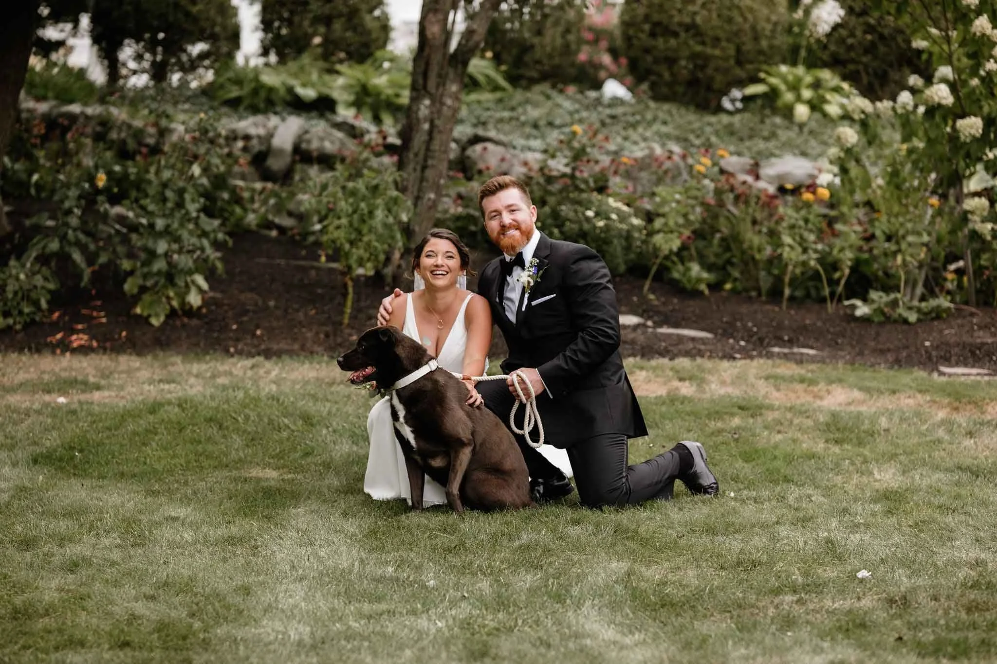 A wedding couple with a large brown and white dog outdoors on a grassy area, with trees and flowers in the background. The woman is wearing a white wedding dress and the man is in a black suit, kneeling and holding the dog’s leash.