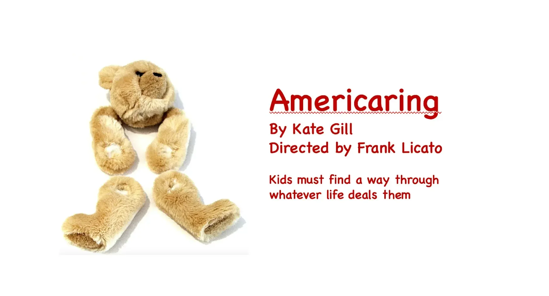 Americaring
