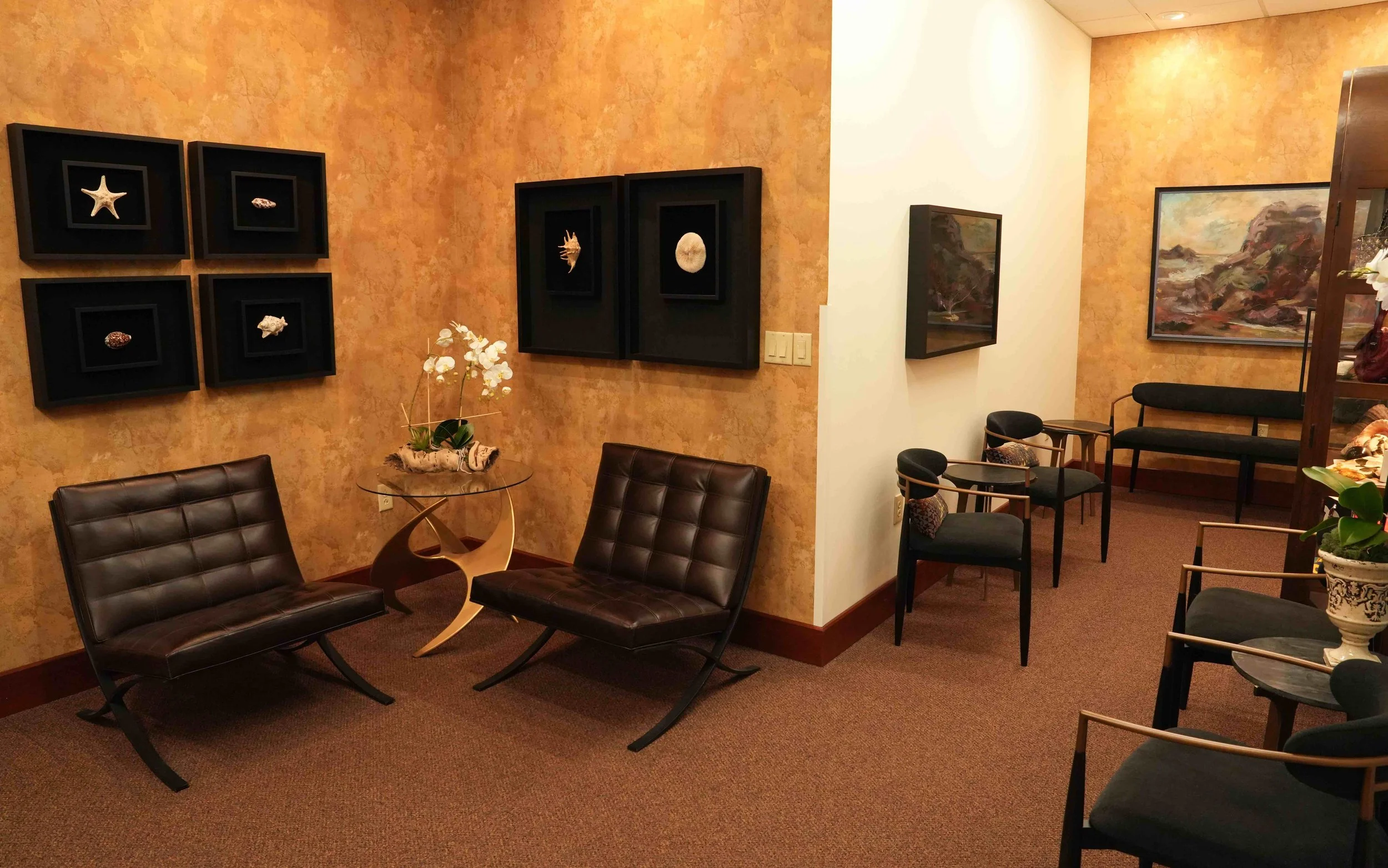 A cozy waiting room with brown leather chairs and art pieces on the walls, including shells and landscape paintings.