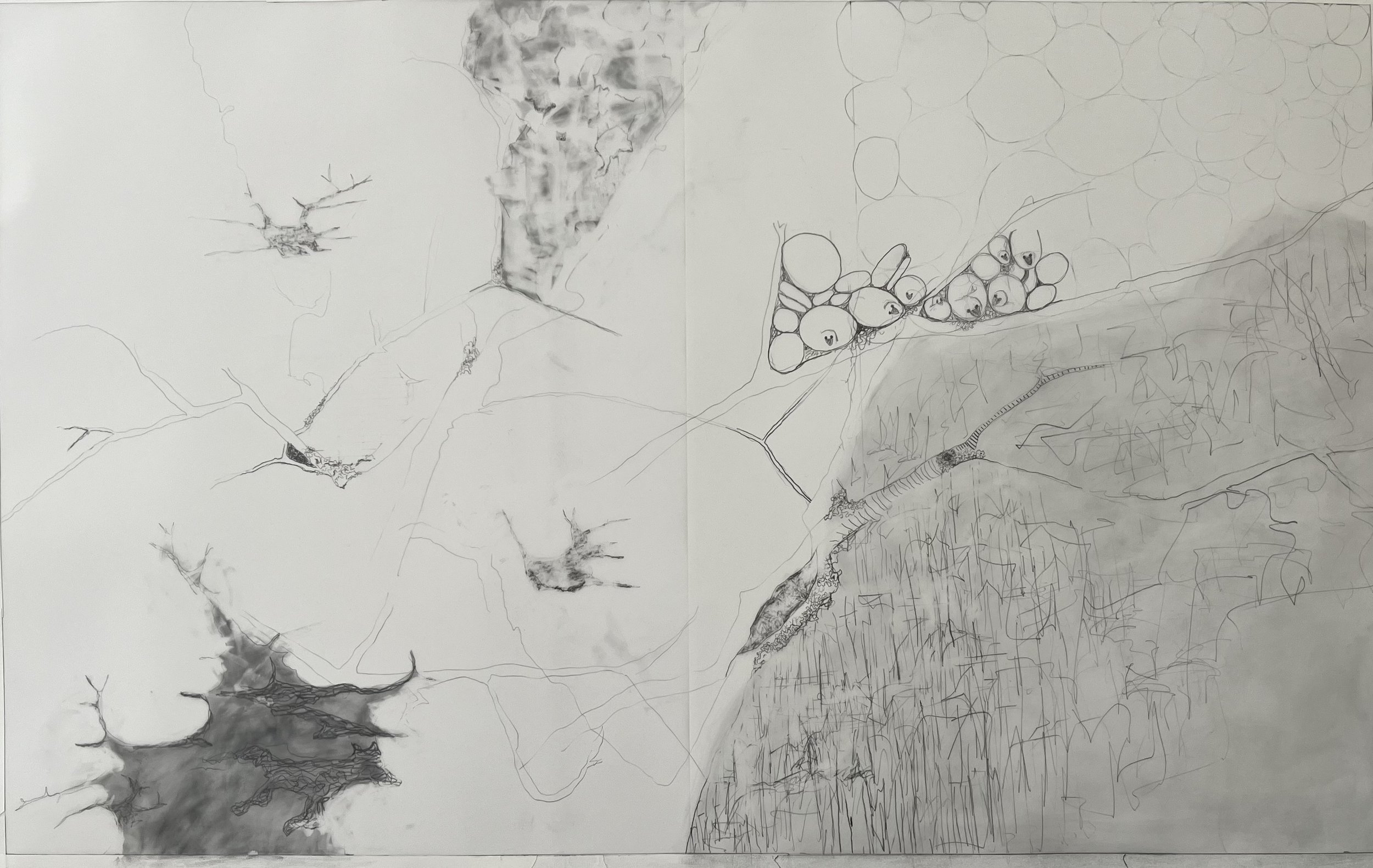 In the Shadows, 2024
40 x 24 inches, Pencil on vellum