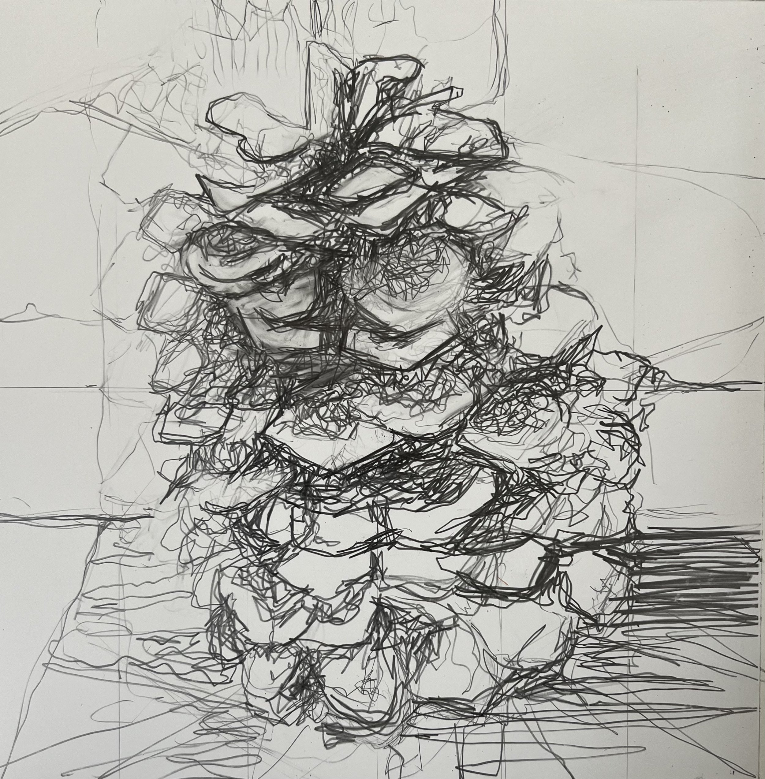 The Pinecone, 2024
10 x 12 inches, Pencil on Yupo