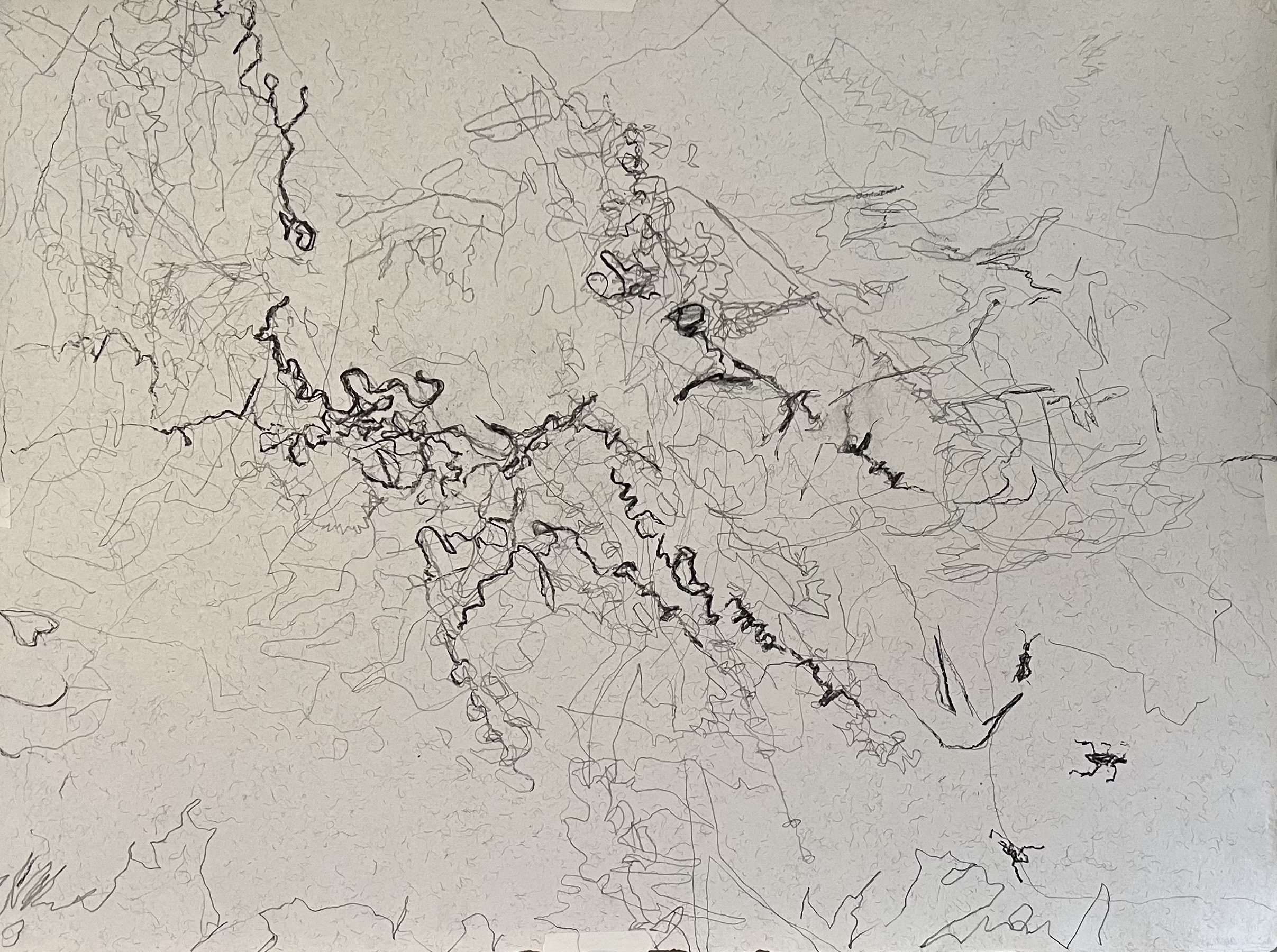 Chasing Shadows in the Garden, 2024
40 x 30 inches, Pencil and Charcoal on paper