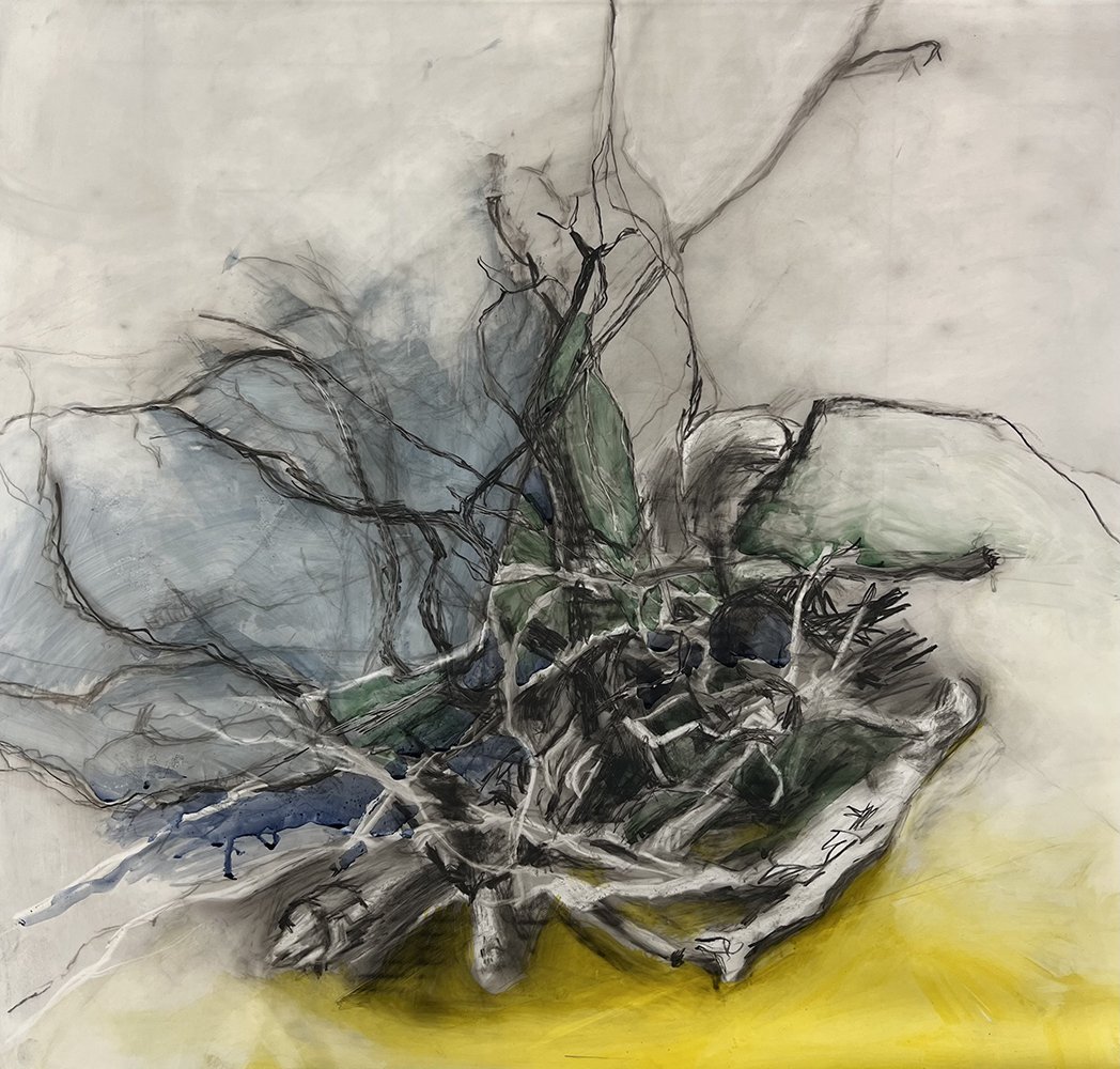 Roots, 2023
30 x 30 inches, Mixed Media on vellum
