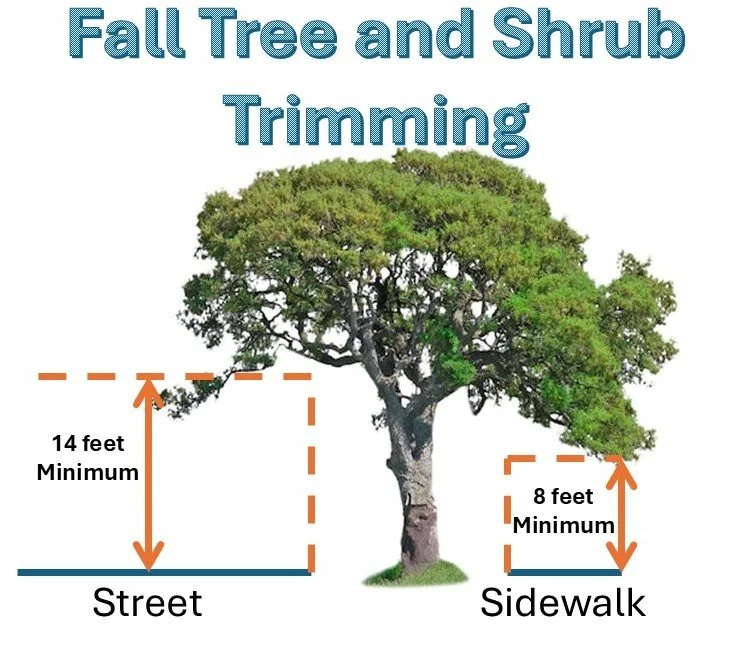 Fall Tree and Shrub Trimming