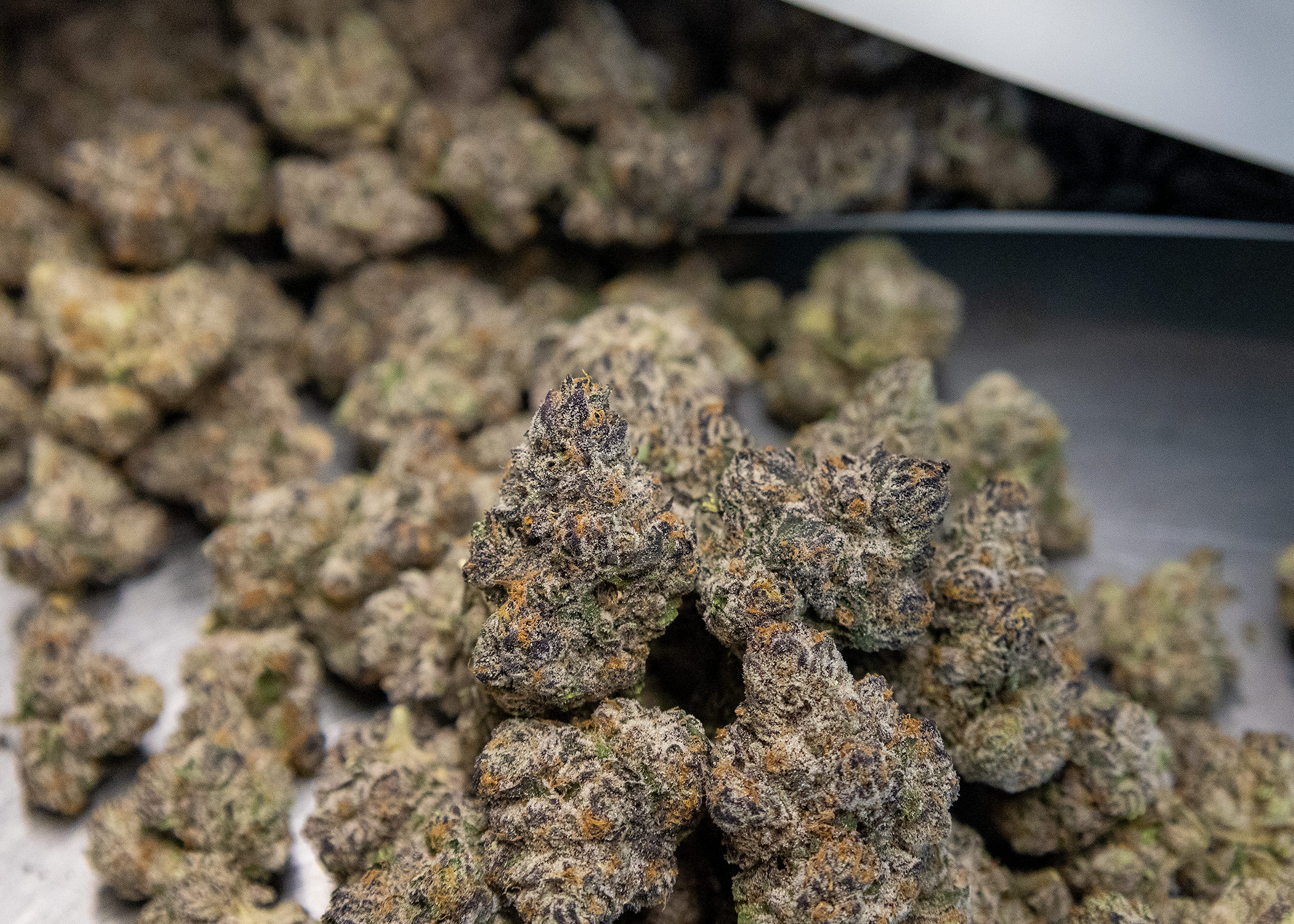 resized nugs.png