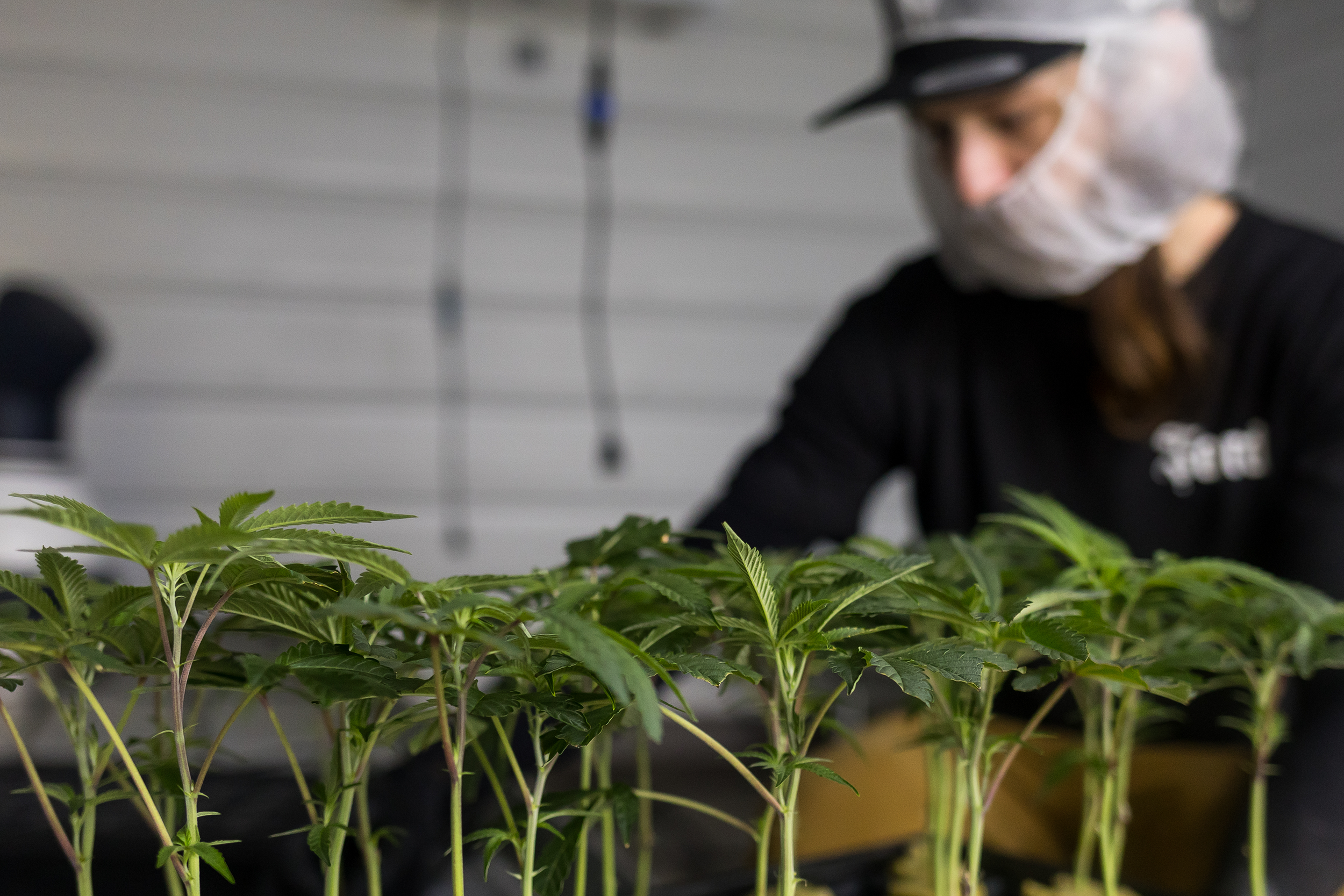 parker with clones.png