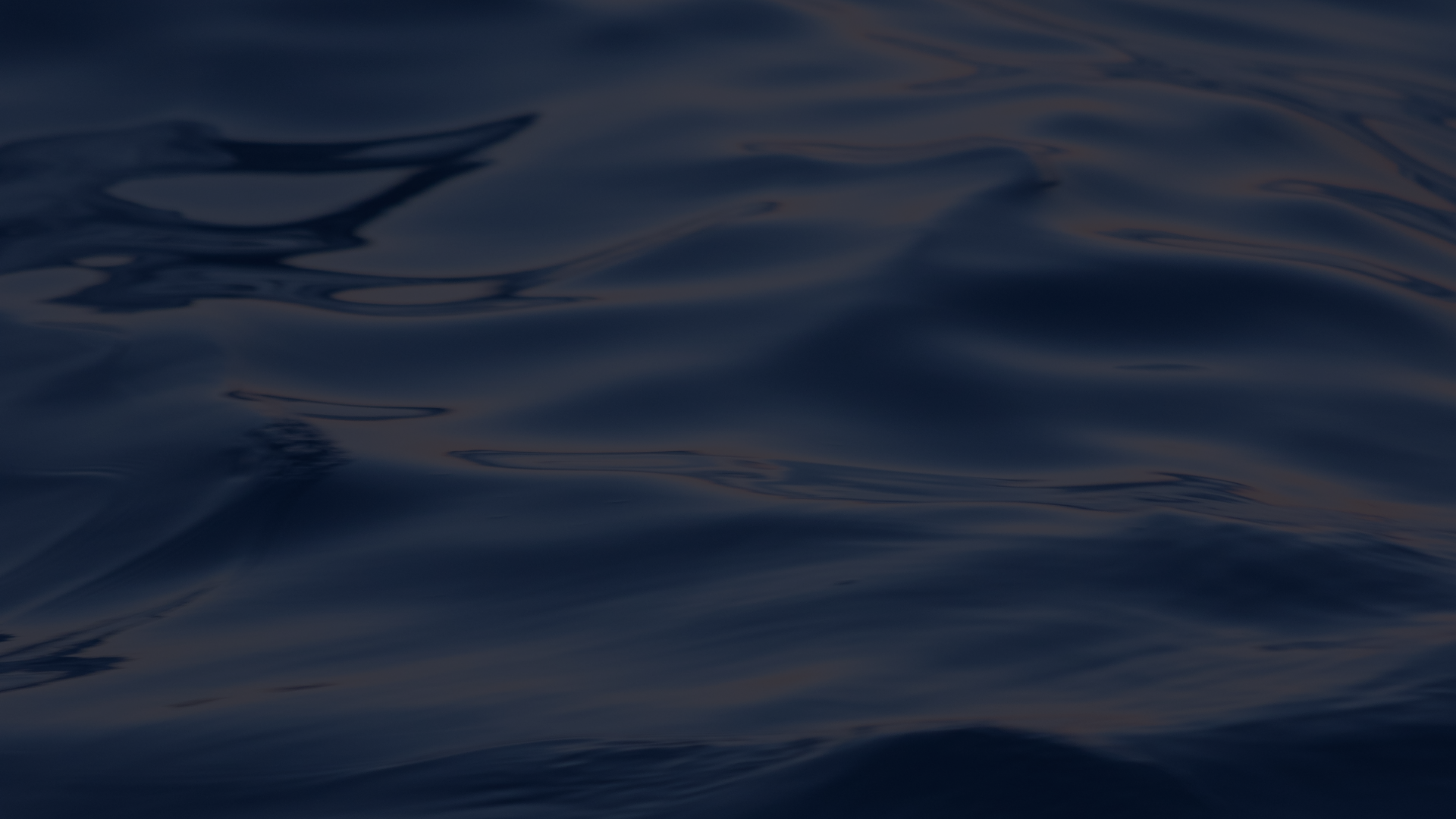 wave 2.png