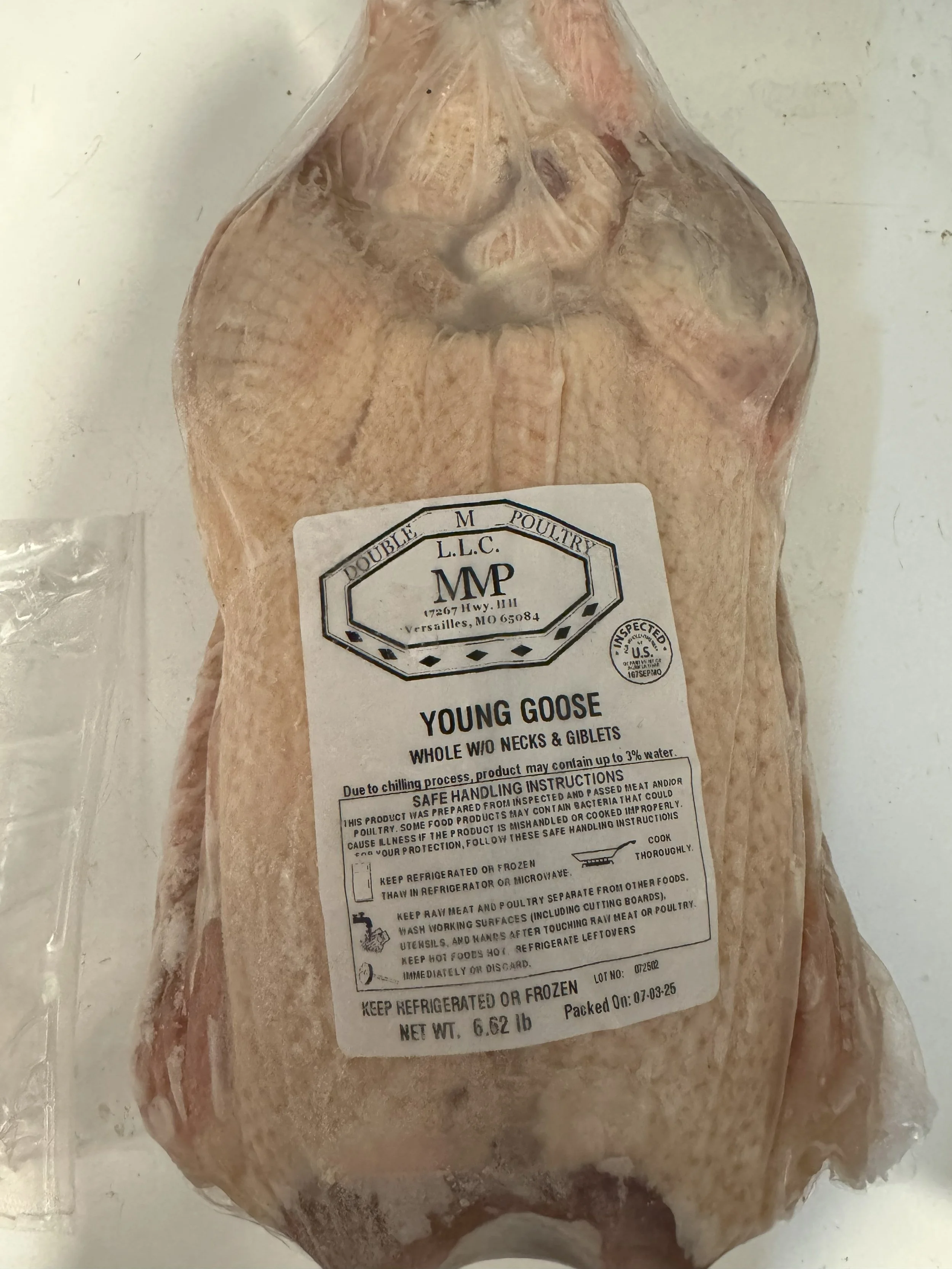 Goose meat - Whole goose