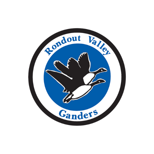 Circular logo with black and white border, blue background, featuring two flying geese and the text 'Rondout Valley Ganders'.
