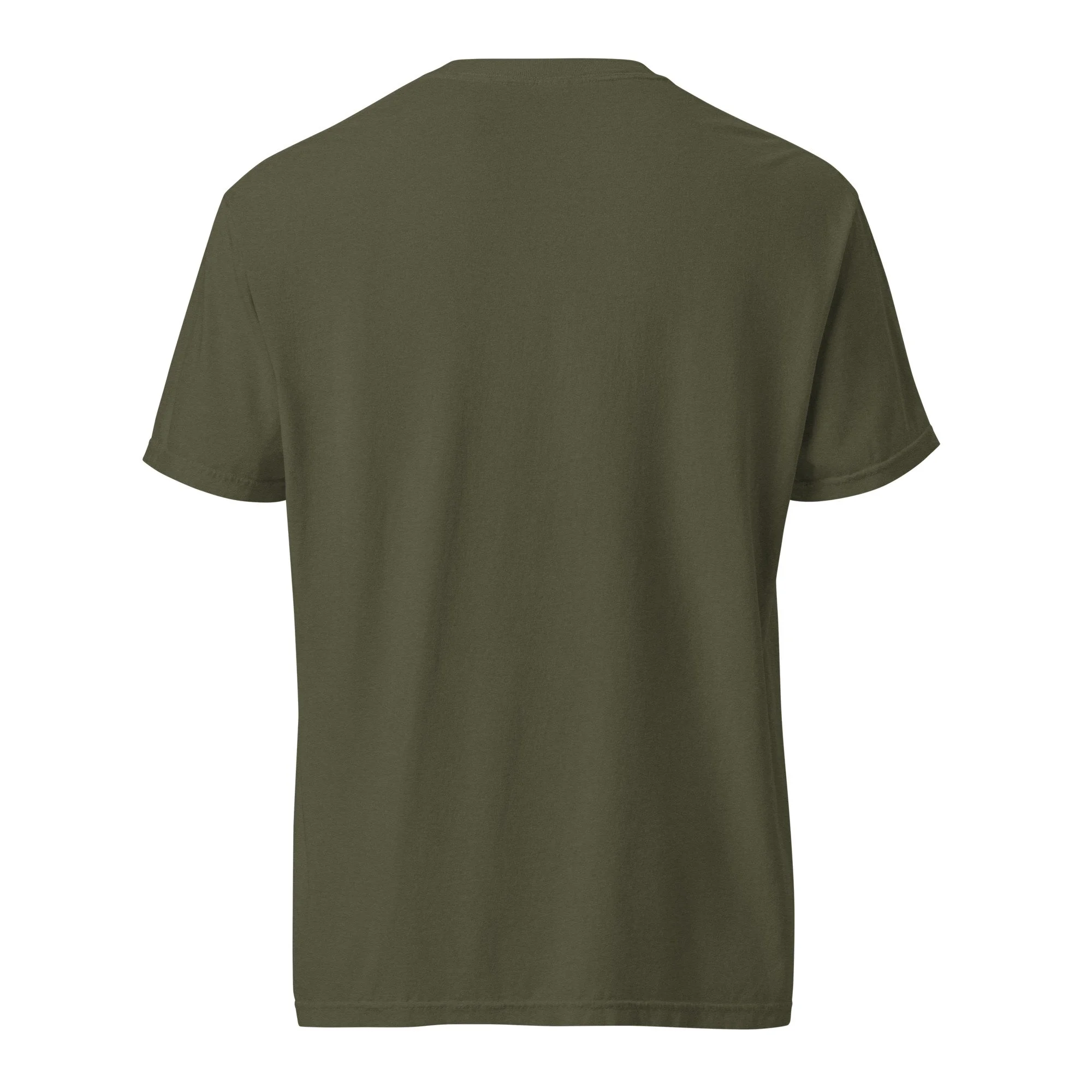 unisex-garment-dyed-heavyweight-t-shirt-sage-back-6896bffec16b2.jpg