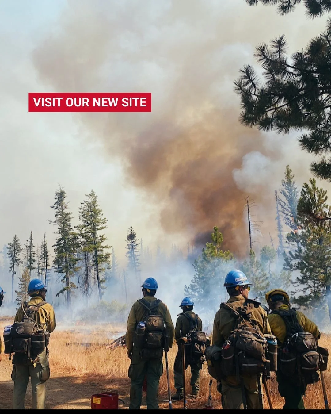 WE HAVE A NEW SITE

We would love it if you would check it out from the link in bio. 

We have a lot of excellent resources for not only Wildland Firefighters but also Friends and Family of Wildland Firefighters. 

#grassroots #nothingaboutuswithoutu