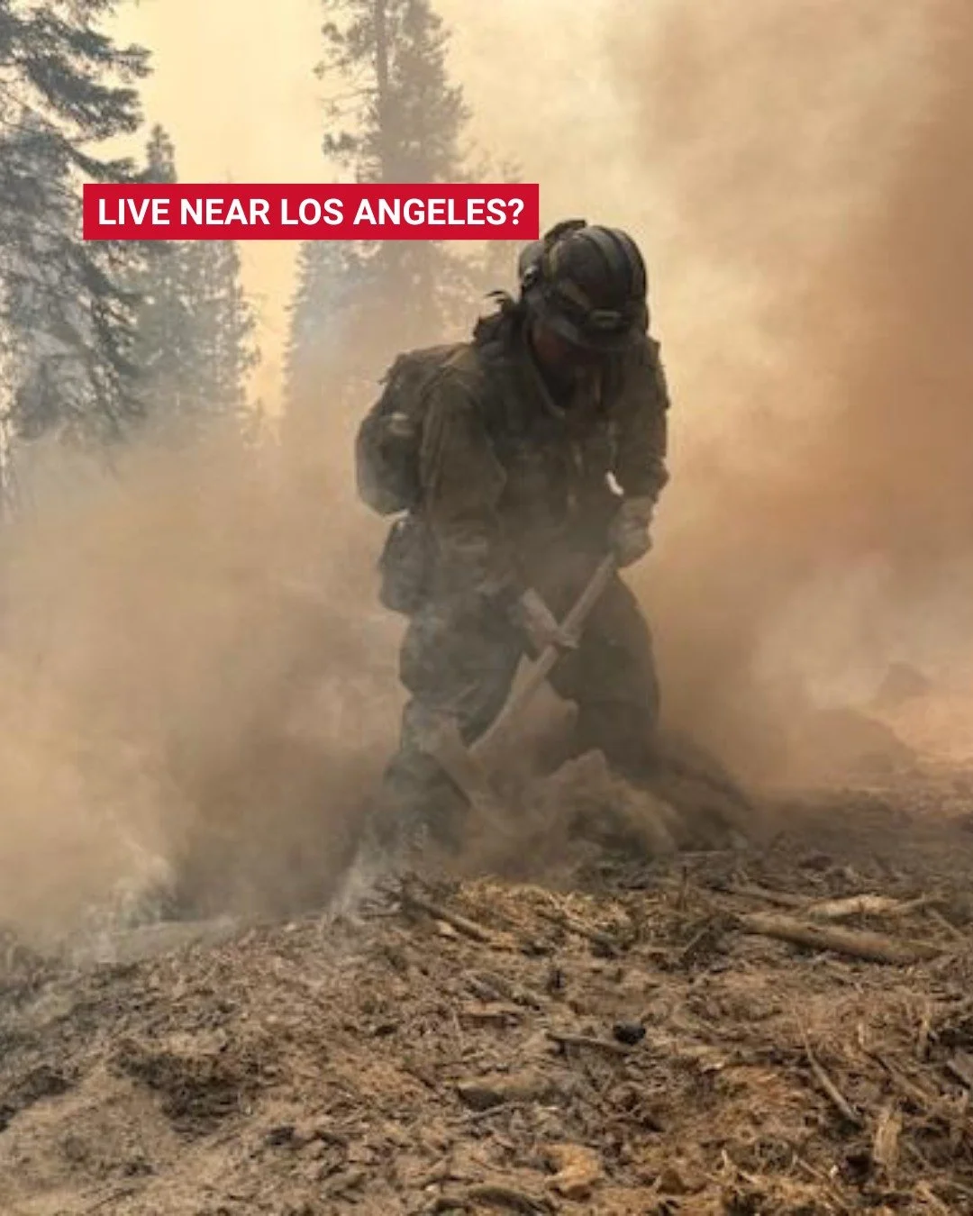 Forever Wildland returns November 8, 2025 with their Hardcore Benefit Show in Los Angeles &mdash; all to support Grassroots Wildland Firefighters and our mission to improve mental health care, pay, and housing for the wildland firefighting community.