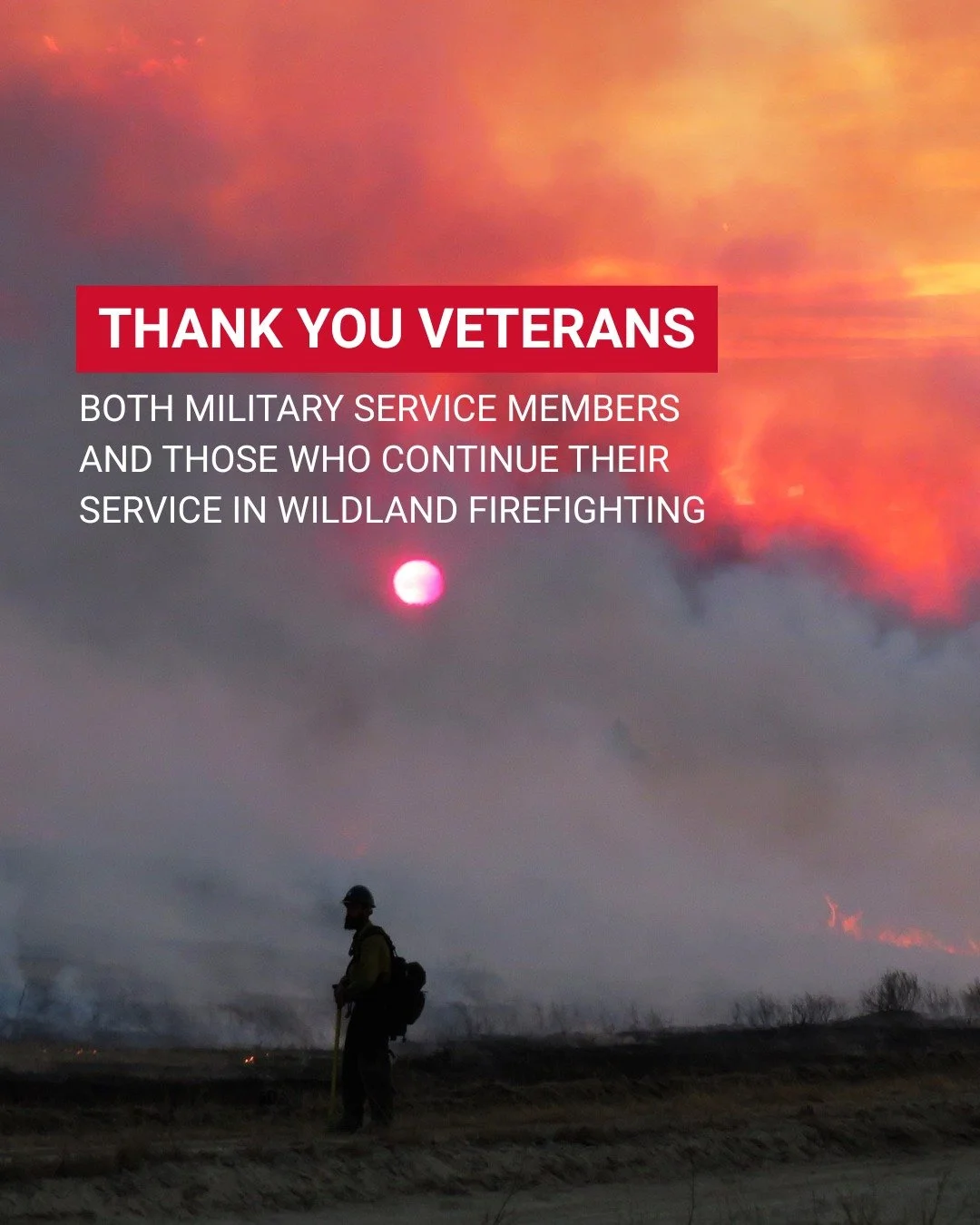 This Veterans Day, we honor all who have served our nation and the veterans who continue that service in a new way, protecting our lands and communities as wildland firefighters. Their leadership, discipline, and courage strengthen the crews who stan