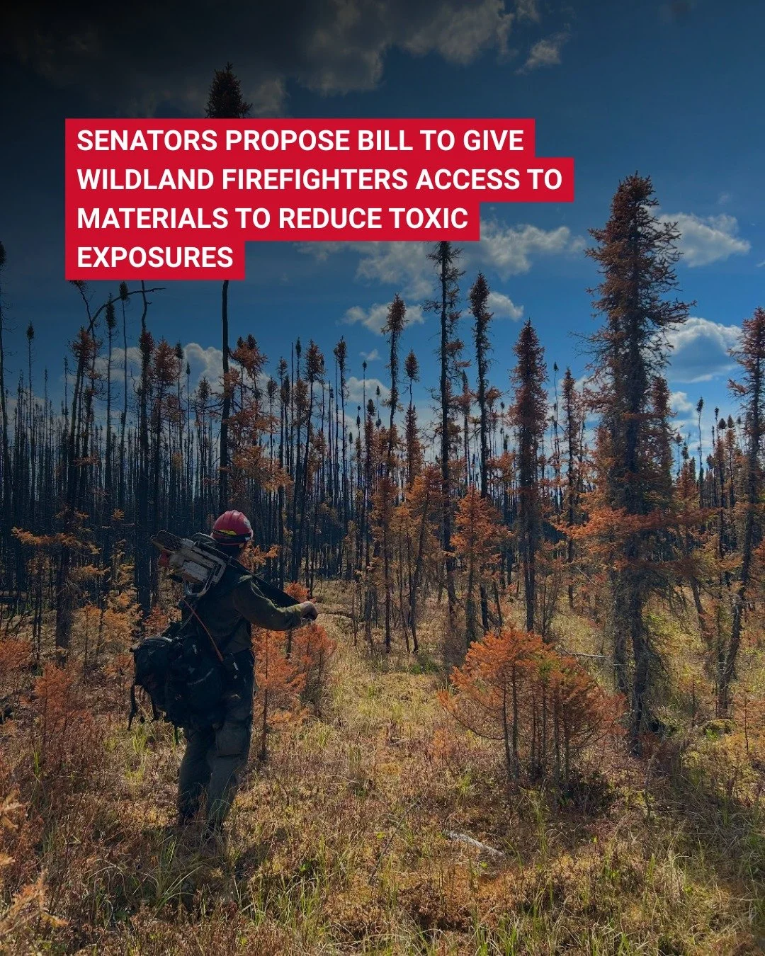 Vice President of GWF, Riva Duncan, recently spoke with NBC News about a newly proposed bill aimed at ensuring Wildland Firefighters have access to protective materials that can reduce long-term health impacts from toxic smoke and other carcinogens. 