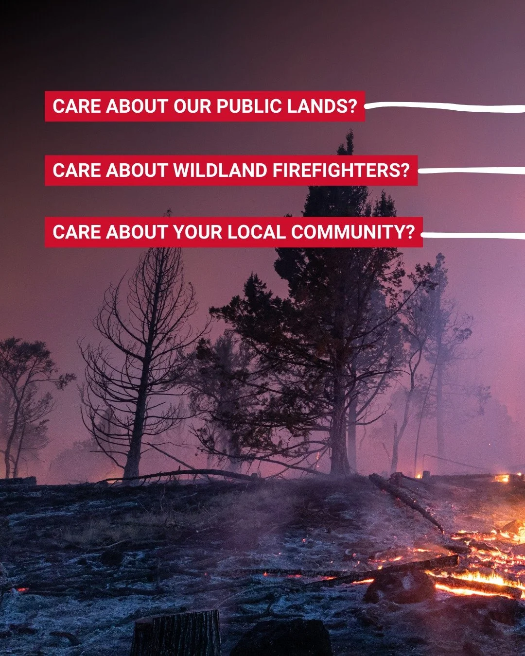 Thank you to our incredible volunteers and supporters for making this year so impactful. As we close out the year, we&rsquo;d be grateful if you considered a Giving Tuesday donation to help us continue this work.

You can support the work that we do 