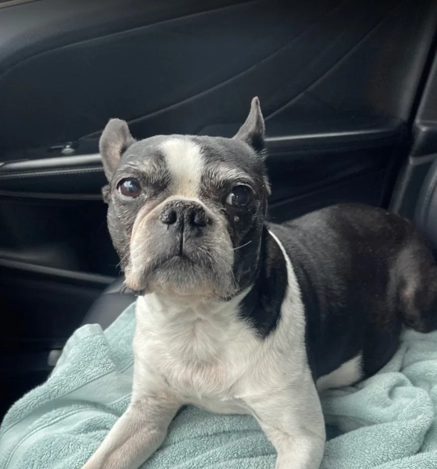 Screenshot 2025-05-16 at 10.48.20 PM.jpg