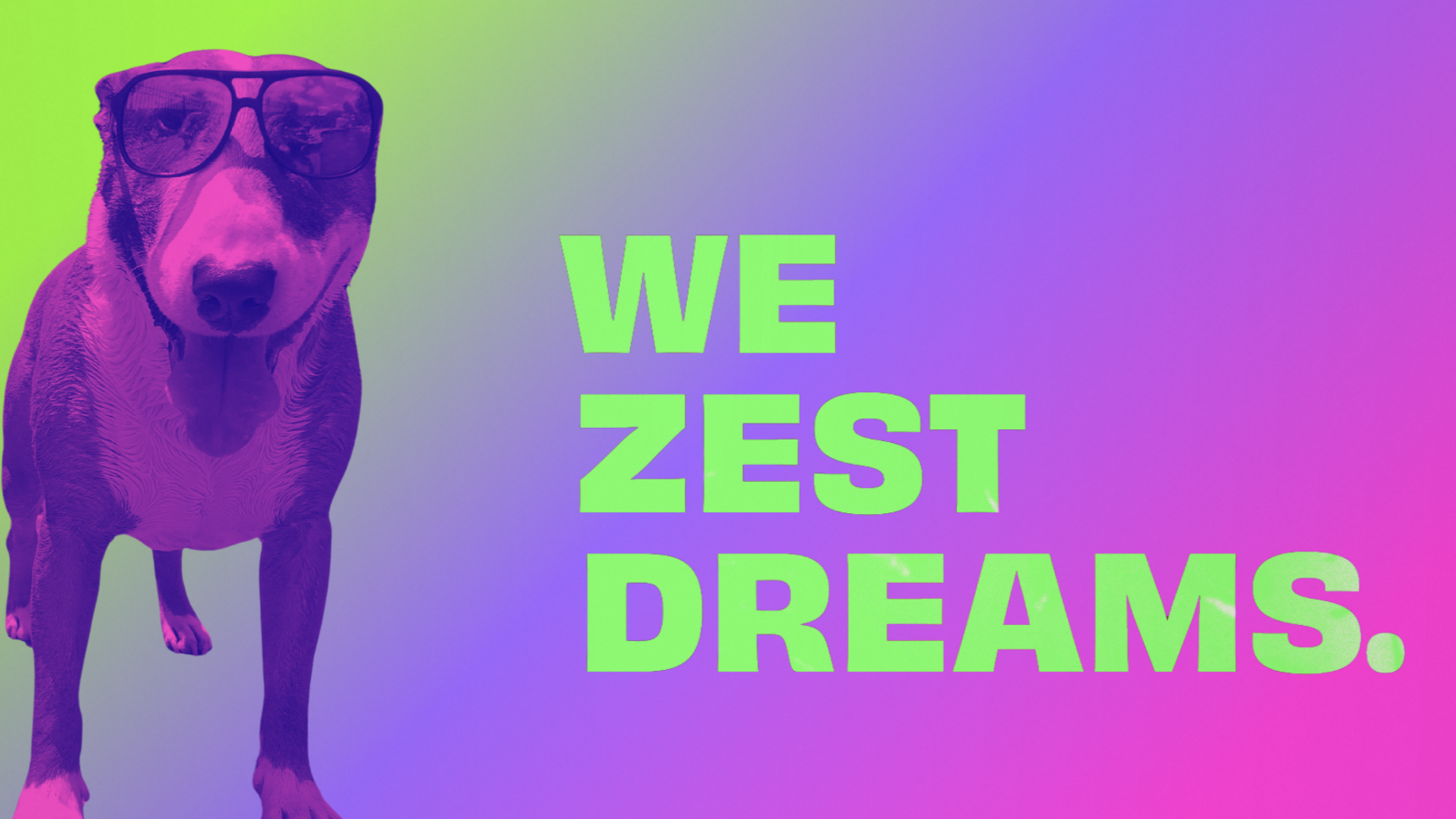A colorful digital graphic featuring a dog wearing sunglasses on a gradient background with the GARNISH tagline text 'WE ZEST DREAMS.' in bright green.