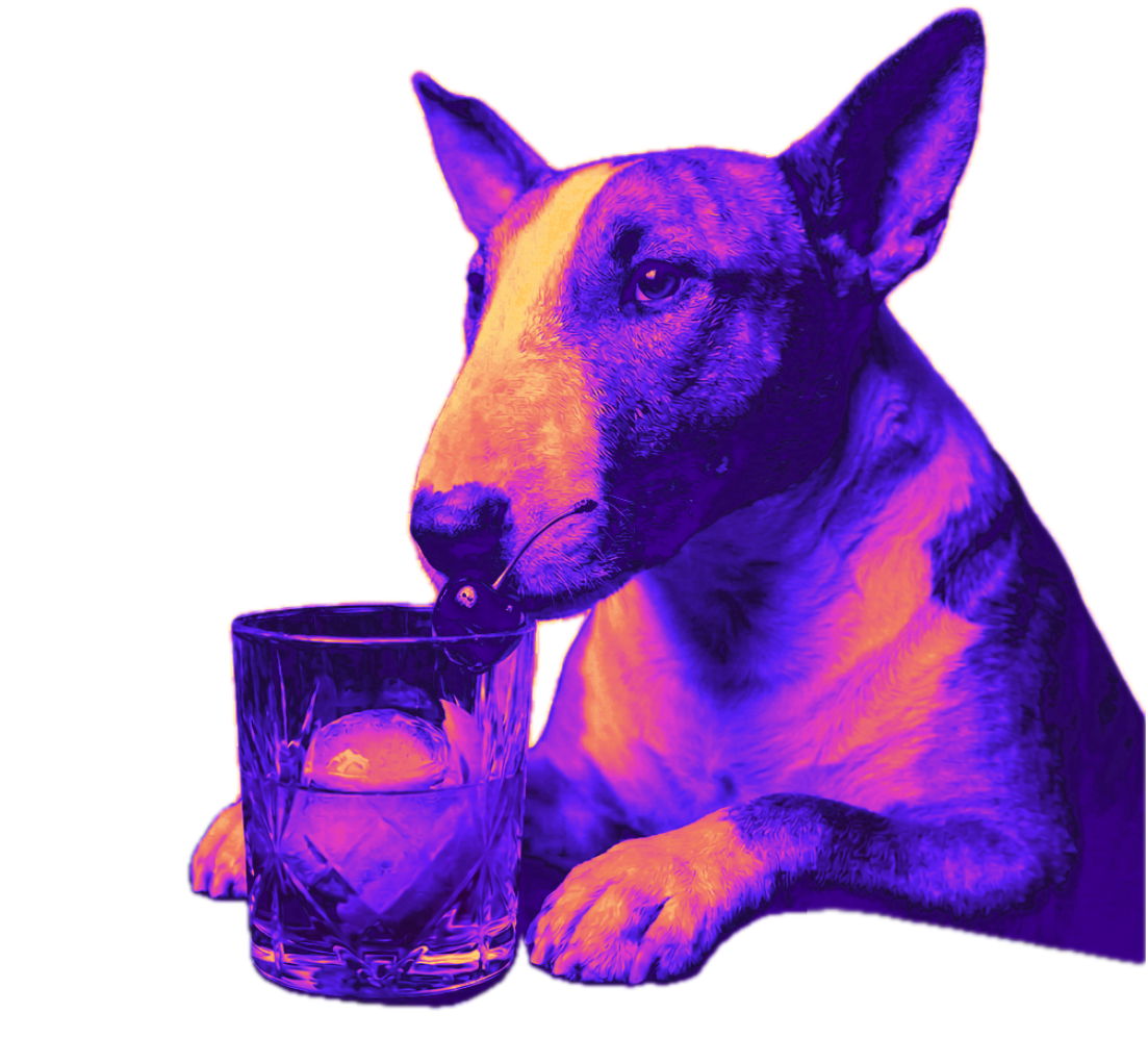 Colorized photo of a dog, and English Bull Terrier, with a glass of whiskey, garnished with an orange peel and a black cherry, in an artistic neon style.