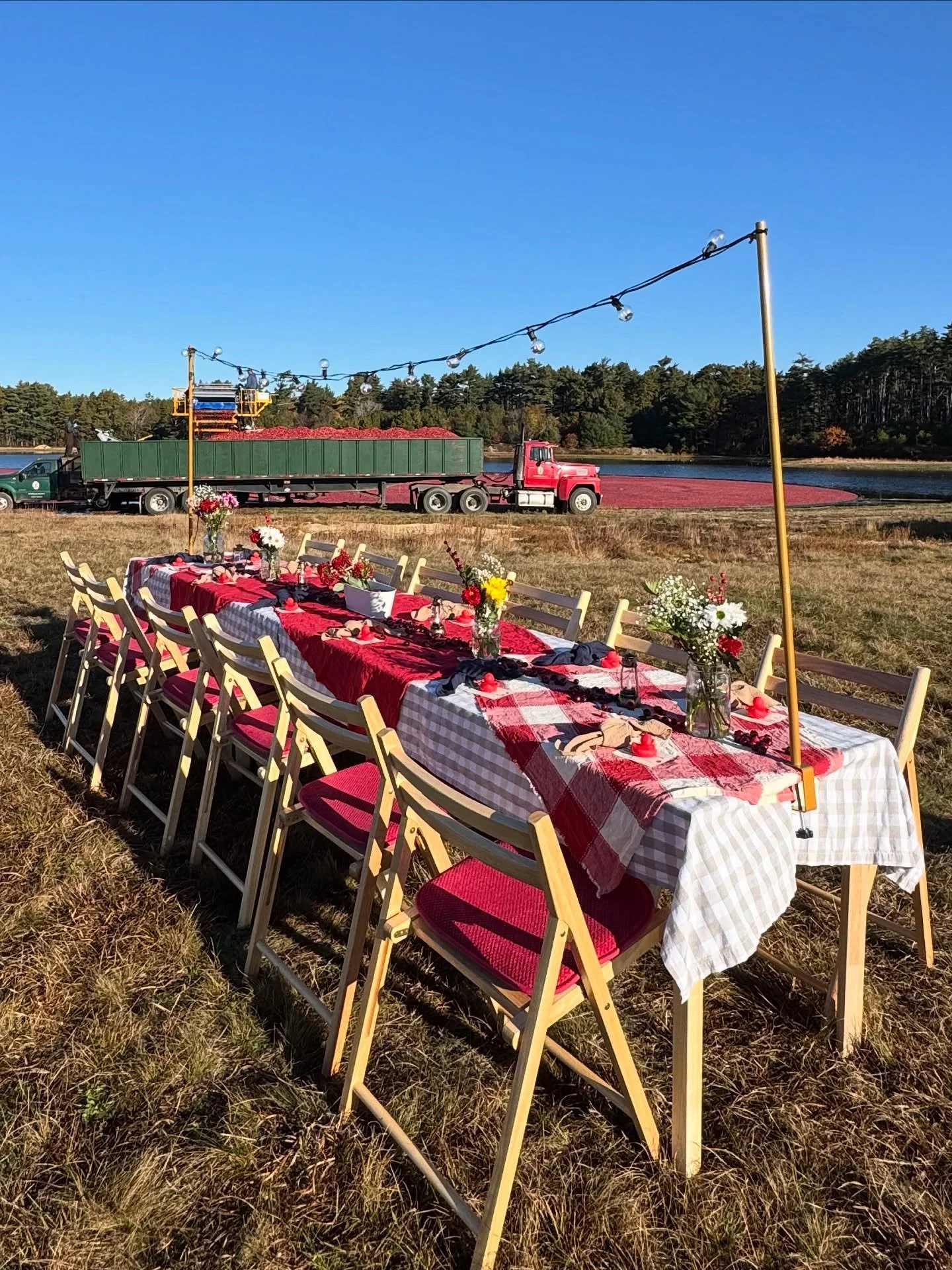 We are both so proud to say that we created this set up for an @oceansprayinc event! 
Not our usual kind of picnic&hellip; This one came with cranberries! 🍒 LOTS of cranberries 😍
Setting up right by the bog where the Ocean Spray magic happens was s