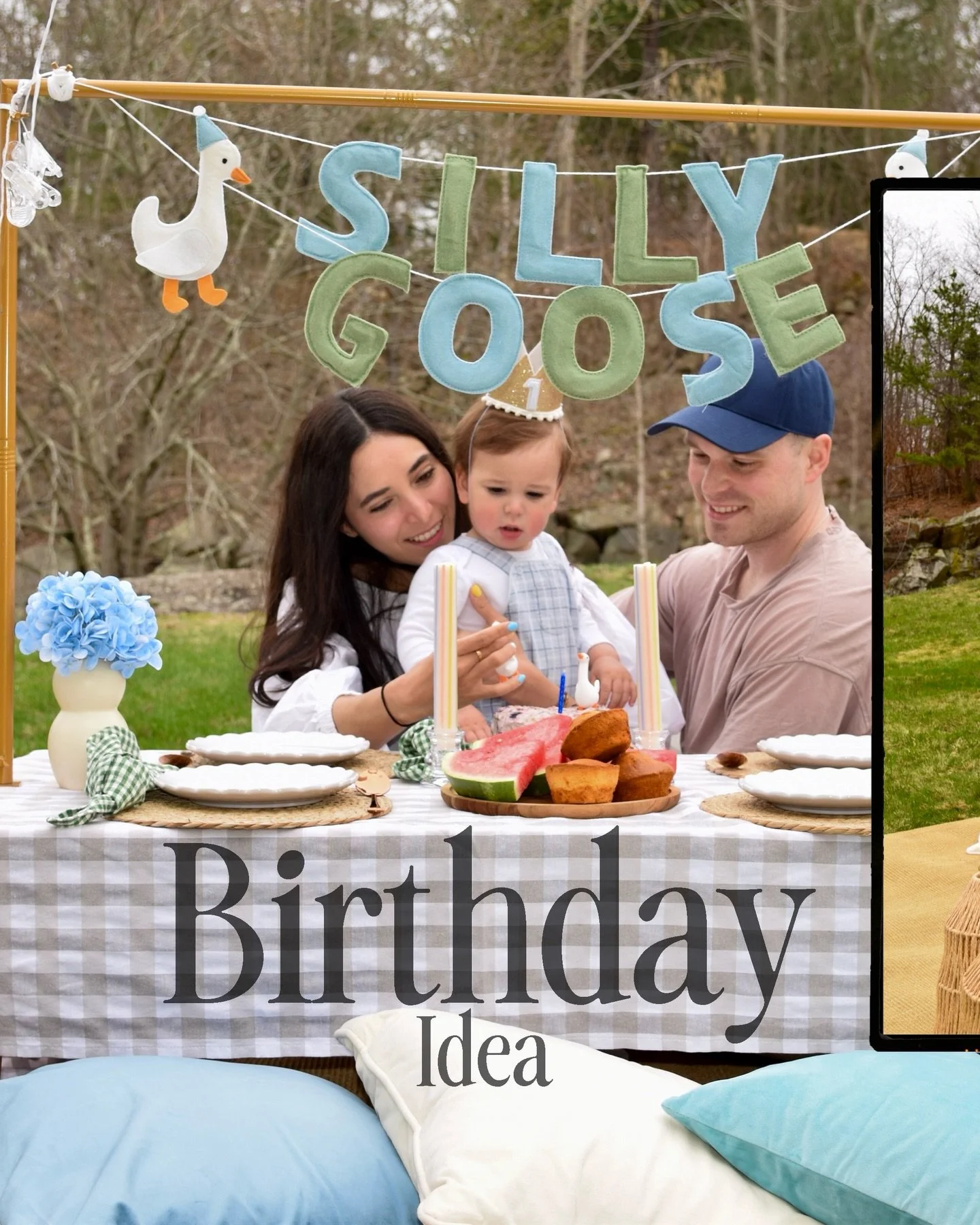 If you&rsquo;re looking for ideas to celebrate your little one&rsquo;s birthday here&rsquo;s why this is a great idea:

🩵🪿 Silly goose is such a cute theme for your baby, (boy or girl) when you look back at this day you&rsquo;ll have the cutest mem