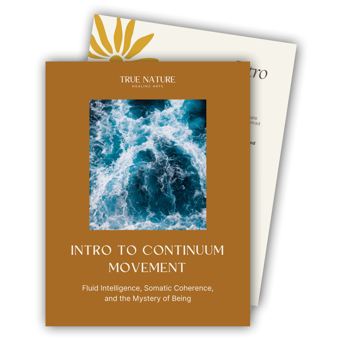 intro-continuum-movement-guide-somatic-healing-practice.png