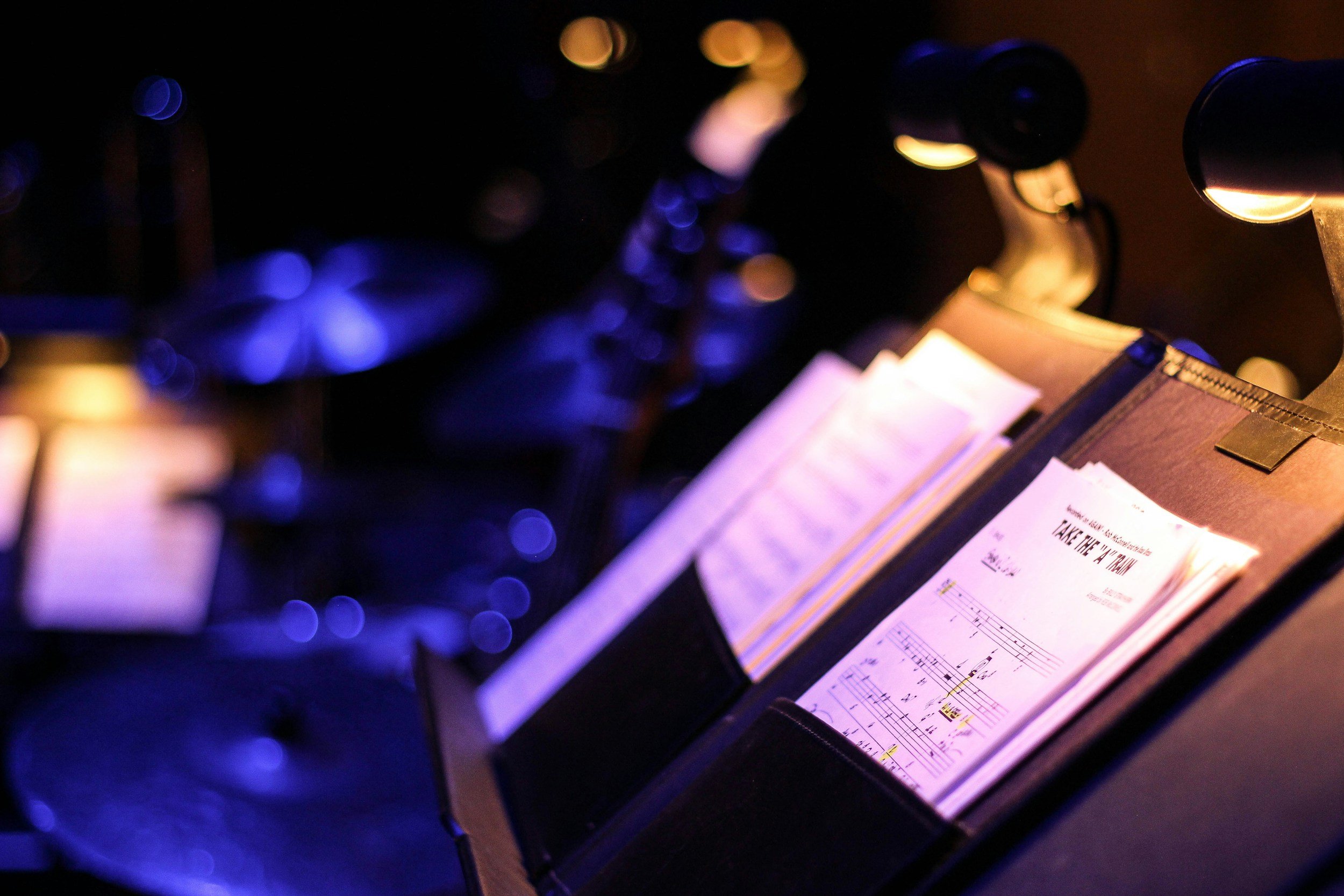 Watertown-Mayer Large Group Contest - Adjudicator and Clinician