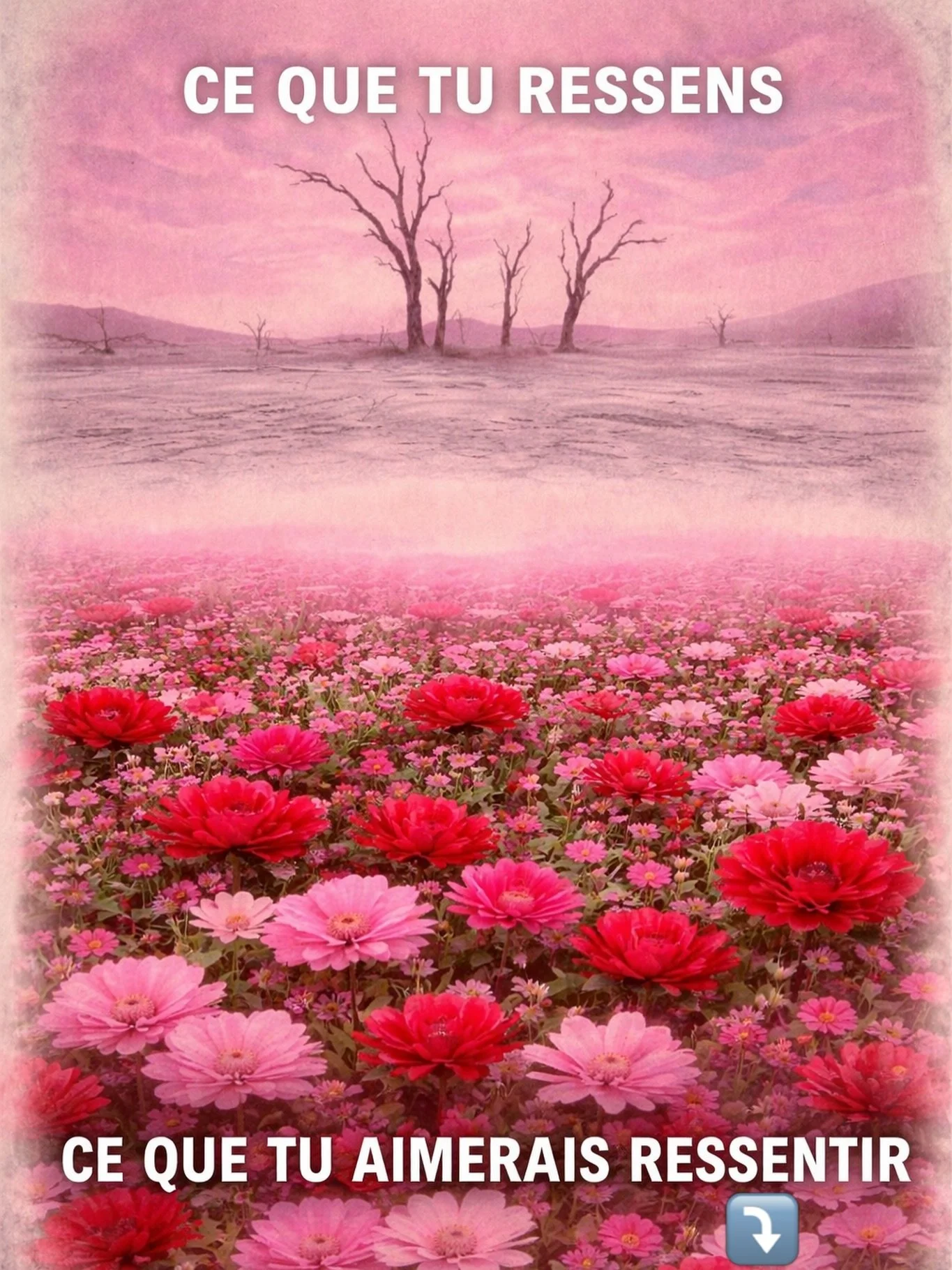 Cette image illustre un contraste tr&egrave;s puissant entre deux &eacute;tats int&eacute;rieurs.

En haut, un paysage aride, vide, fig&eacute;, avec des arbres morts sous un ciel terne. Cela repr&eacute;sente ce que tu ressens quand ta sant&eacute; 