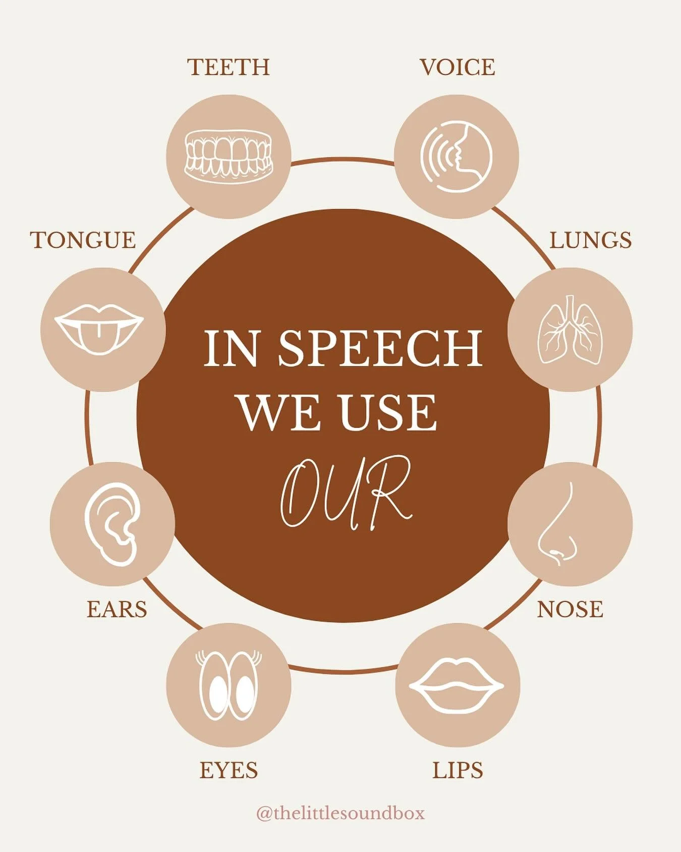 Did you know that clear speech takes a team effort from your body? 👄👅🦷💨 We use our lips, tongue, teeth, lungs, and more to produce sounds accurately and clearly.

When even one piece of that puzzle is out of sync, it can impact speech sound produ