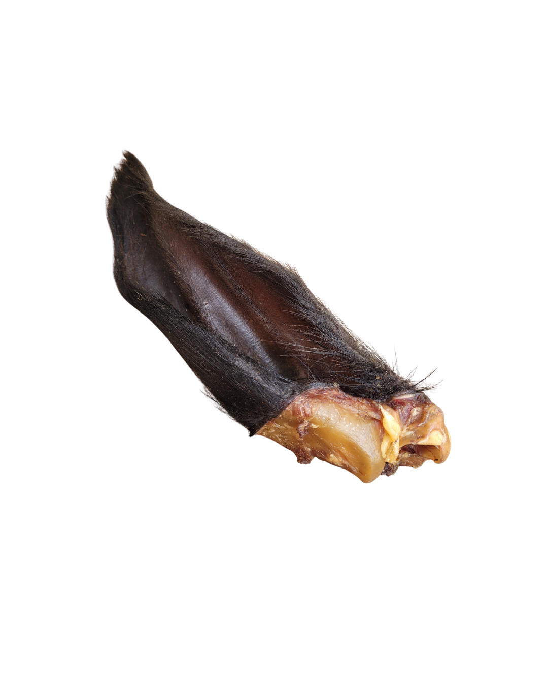 Hairy cow ear 2 noBG.png