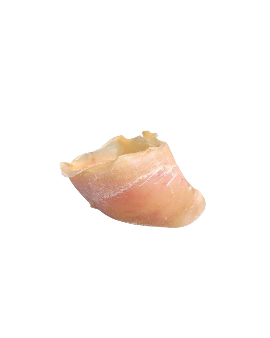 Cow hoof noBG.png