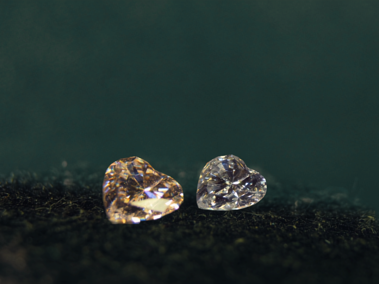 deux diamants taillés en coeur, un jaune et un blanc